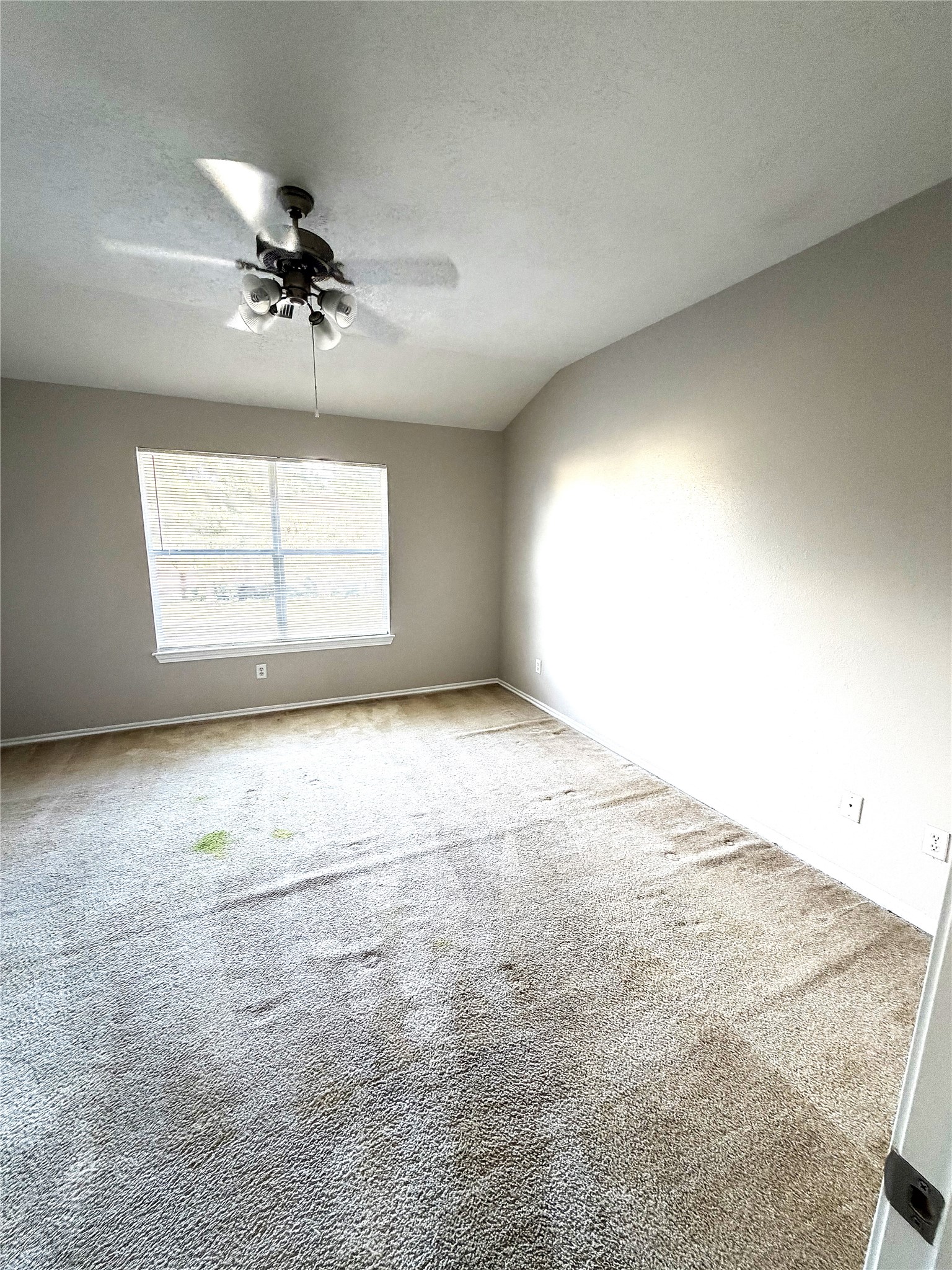 17138 Oakwood Chase Drive Property Photo 11