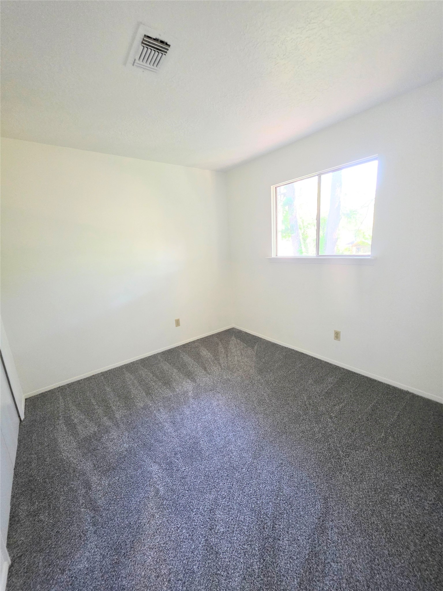 24022 Spring Briar Lane Property Photo 18