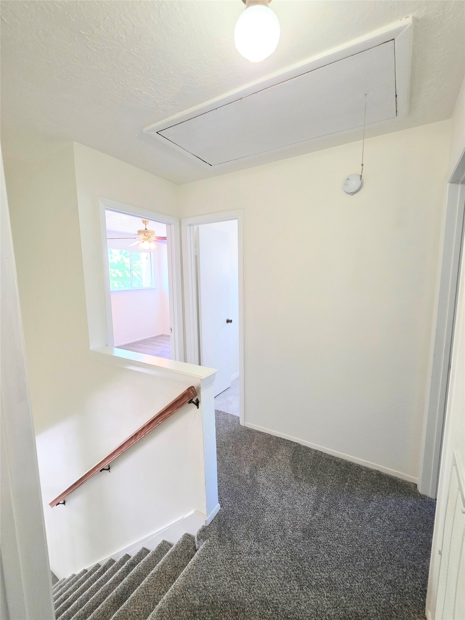 24022 Spring Briar Lane Property Photo 25