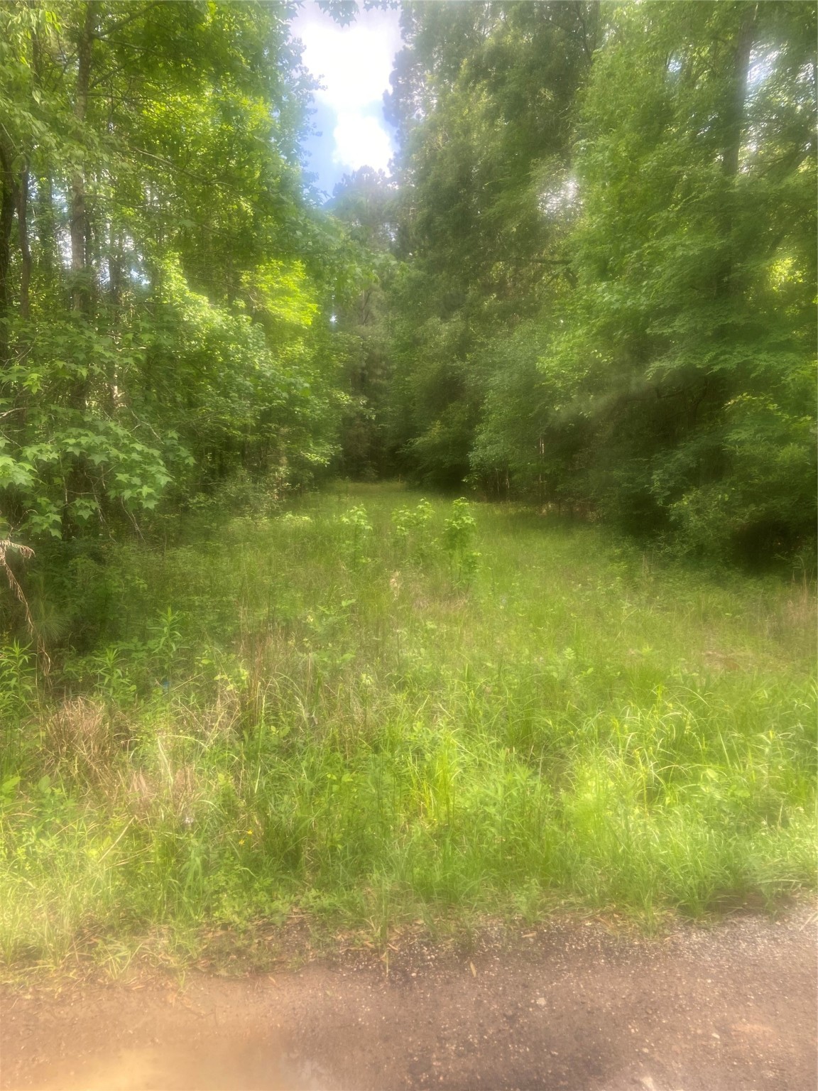 251 Pickens Loop Property Photo 1