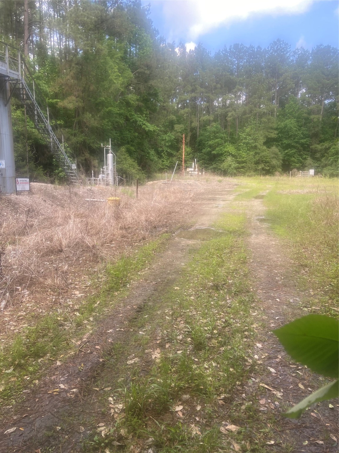 251 Pickens Loop Property Photo 2