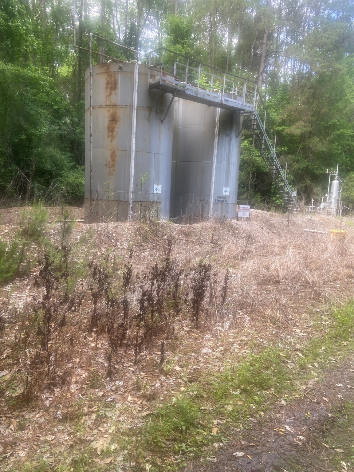251 Pickens Loop Property Photo 3