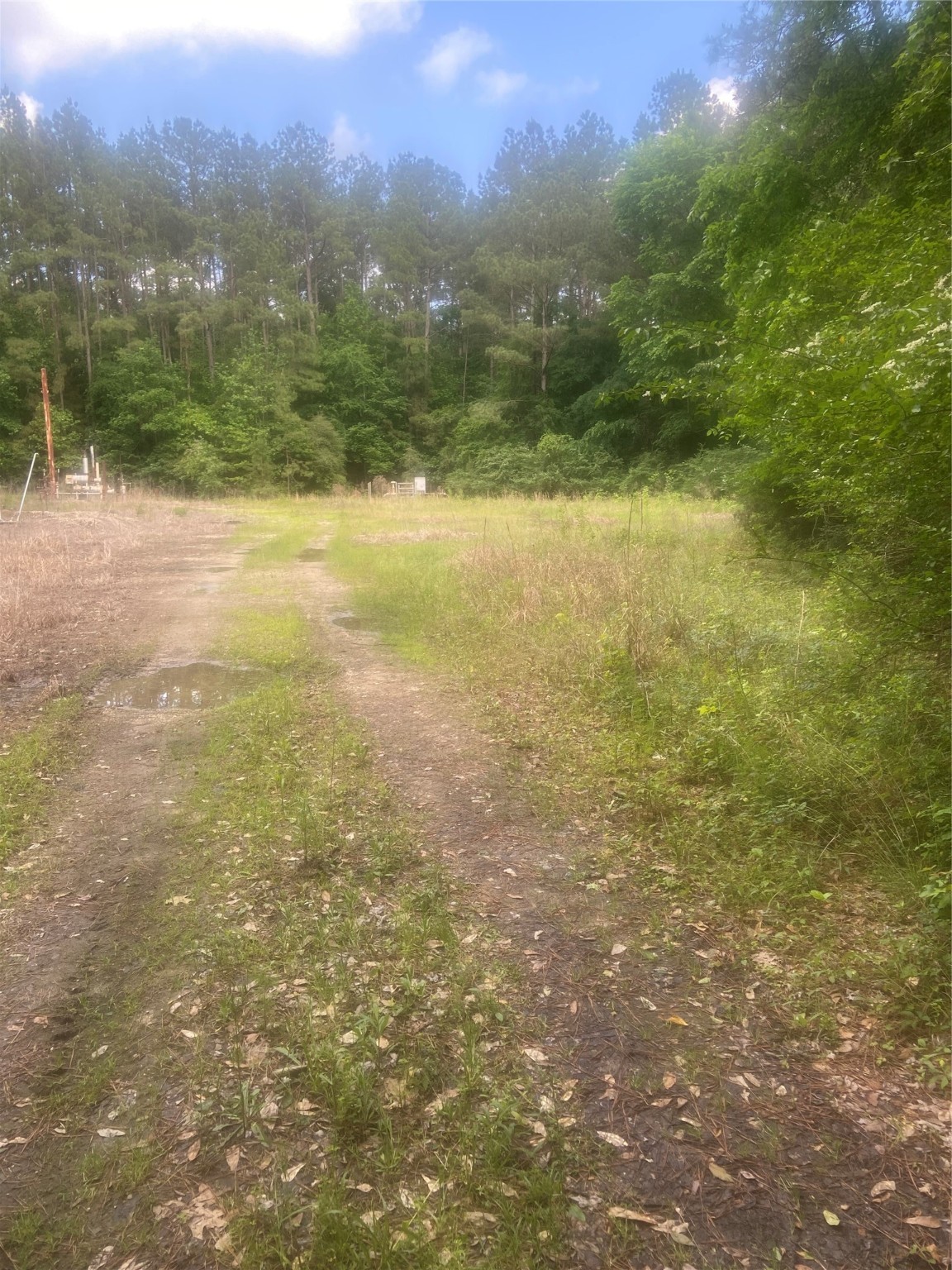 251 Pickens Loop Property Photo 4