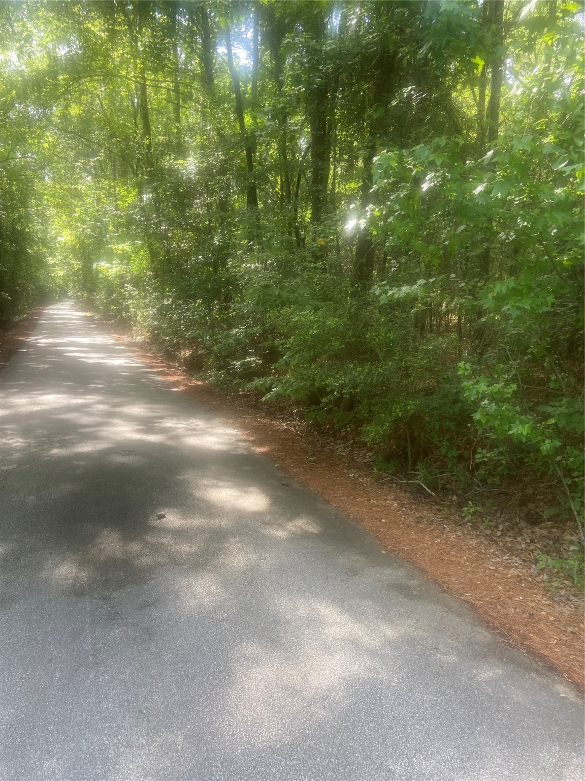 251 Pickens Loop Property Photo 5