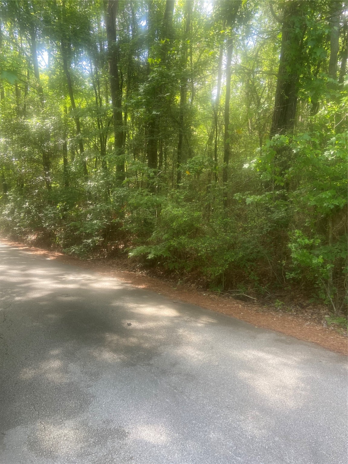 251 Pickens Loop Property Photo 6