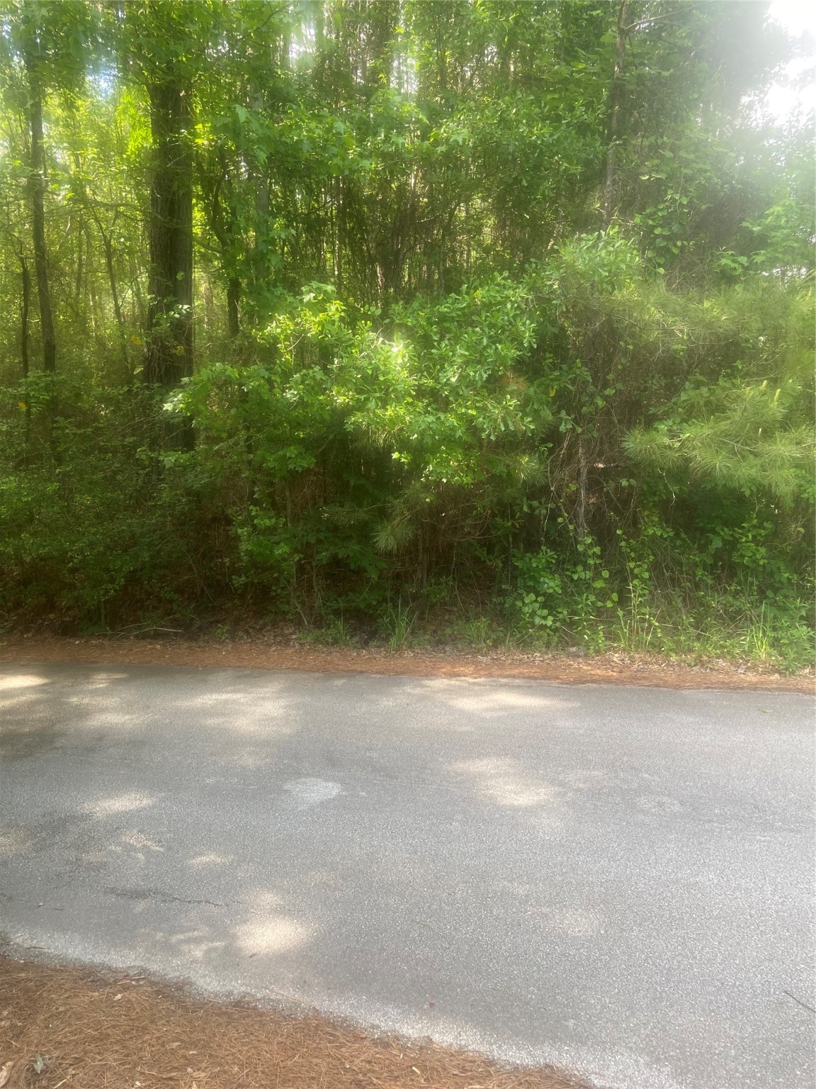 251 Pickens Loop Property Photo 7
