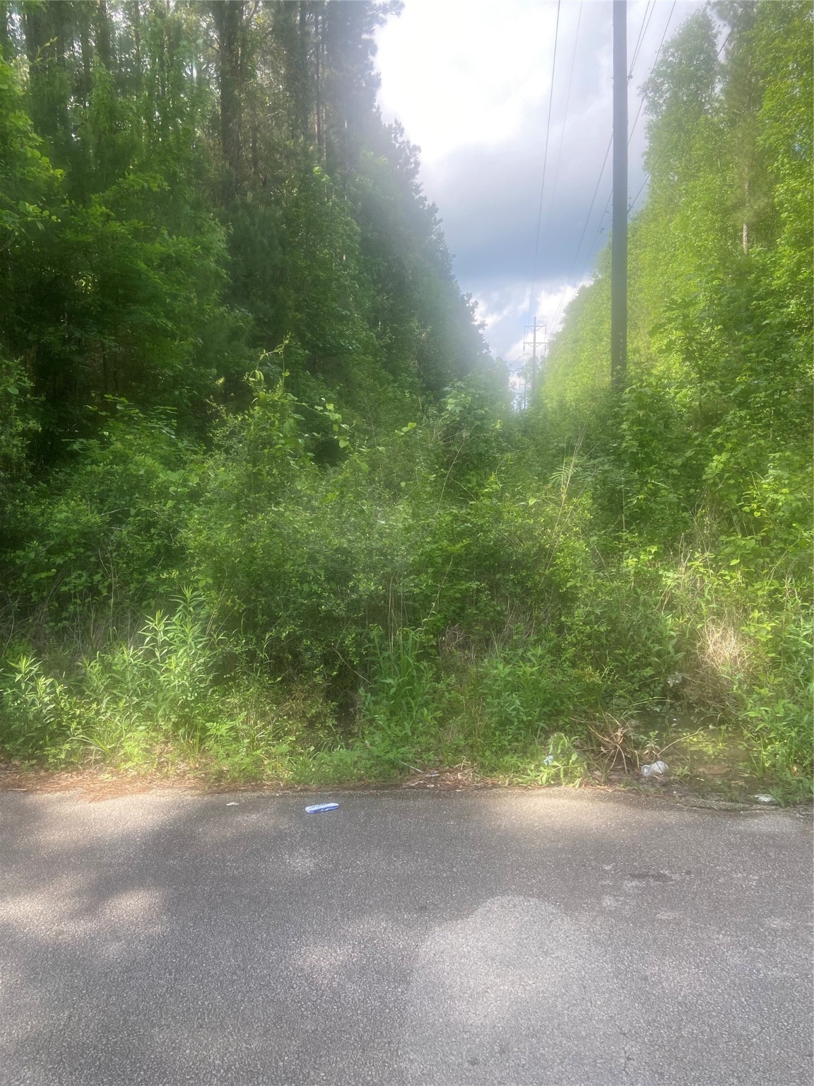 251 Pickens Loop Property Photo 8