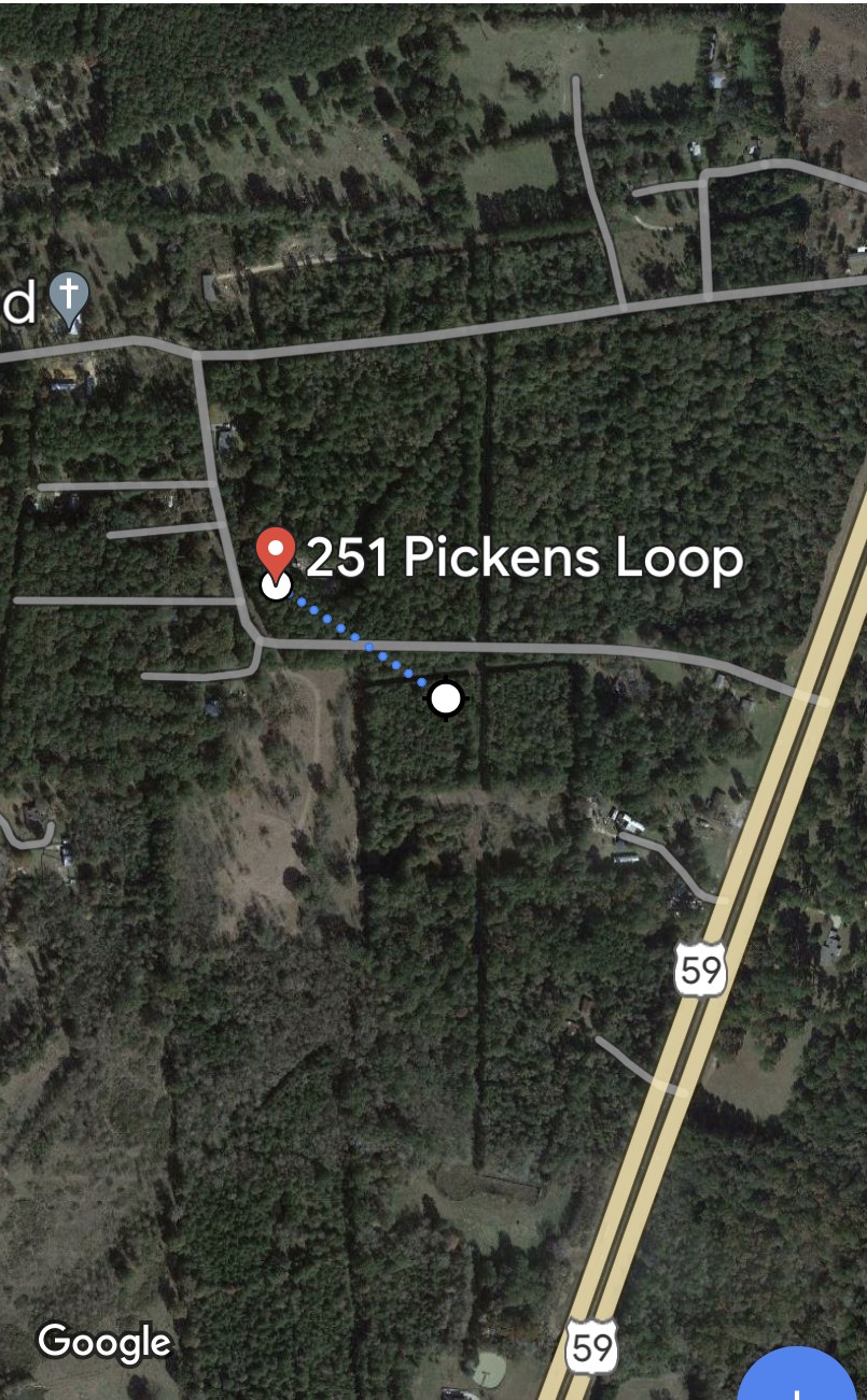 251 Pickens Loop Property Photo 9