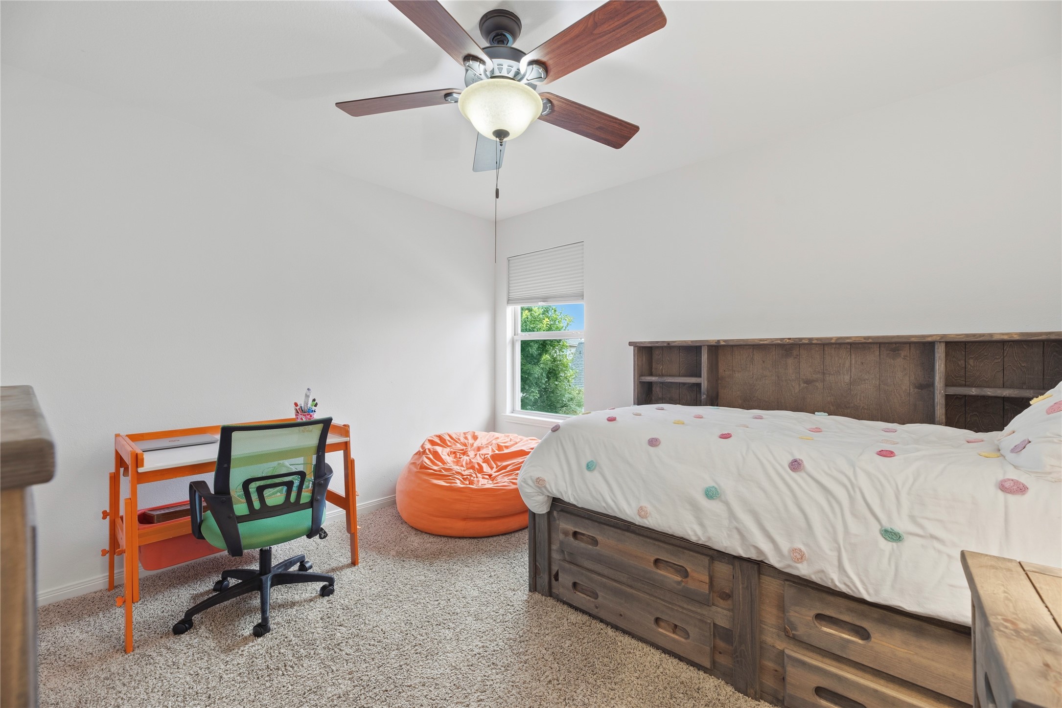 10206 Texas Sage Way Property Photo 21