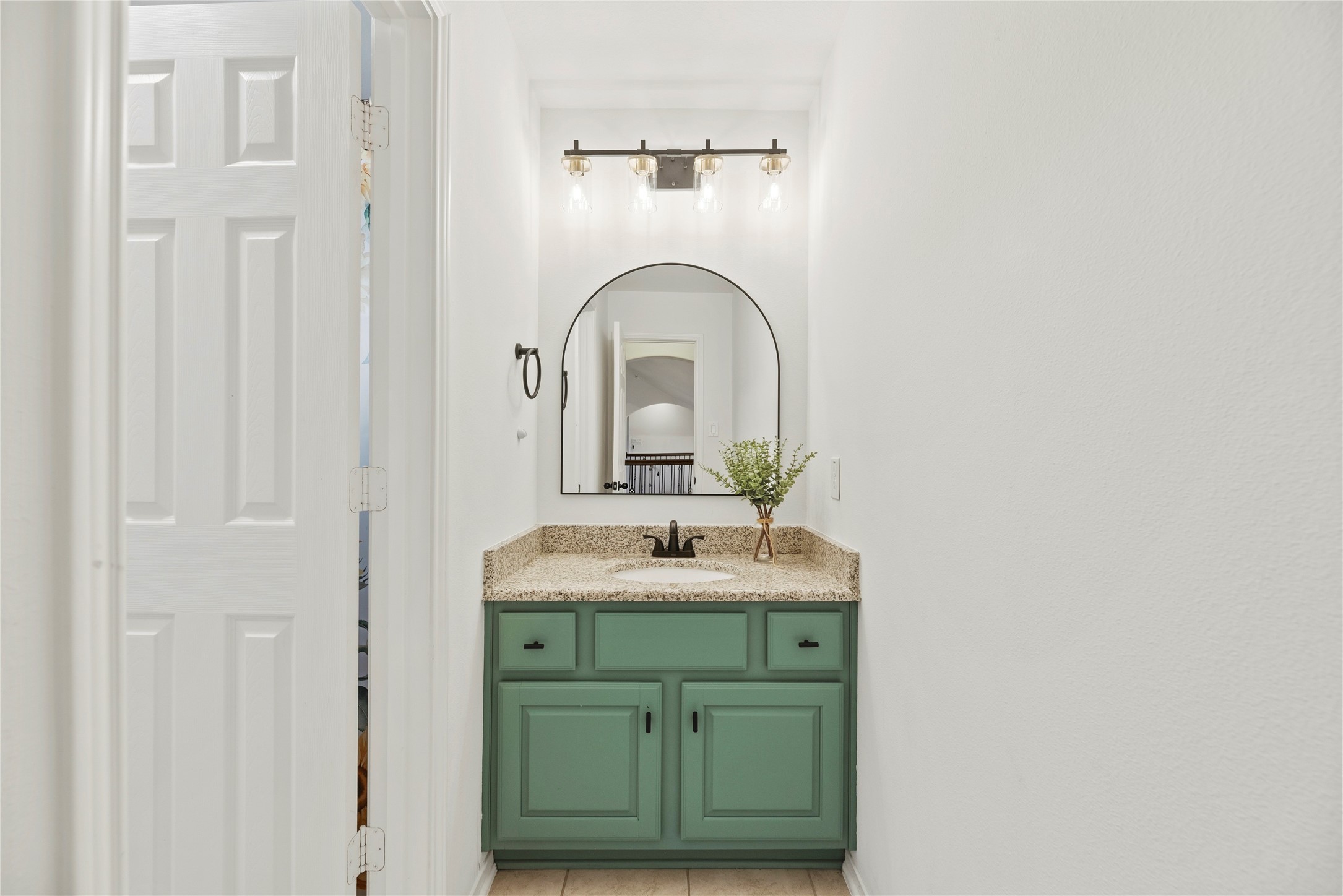 10206 Texas Sage Way Property Photo 22