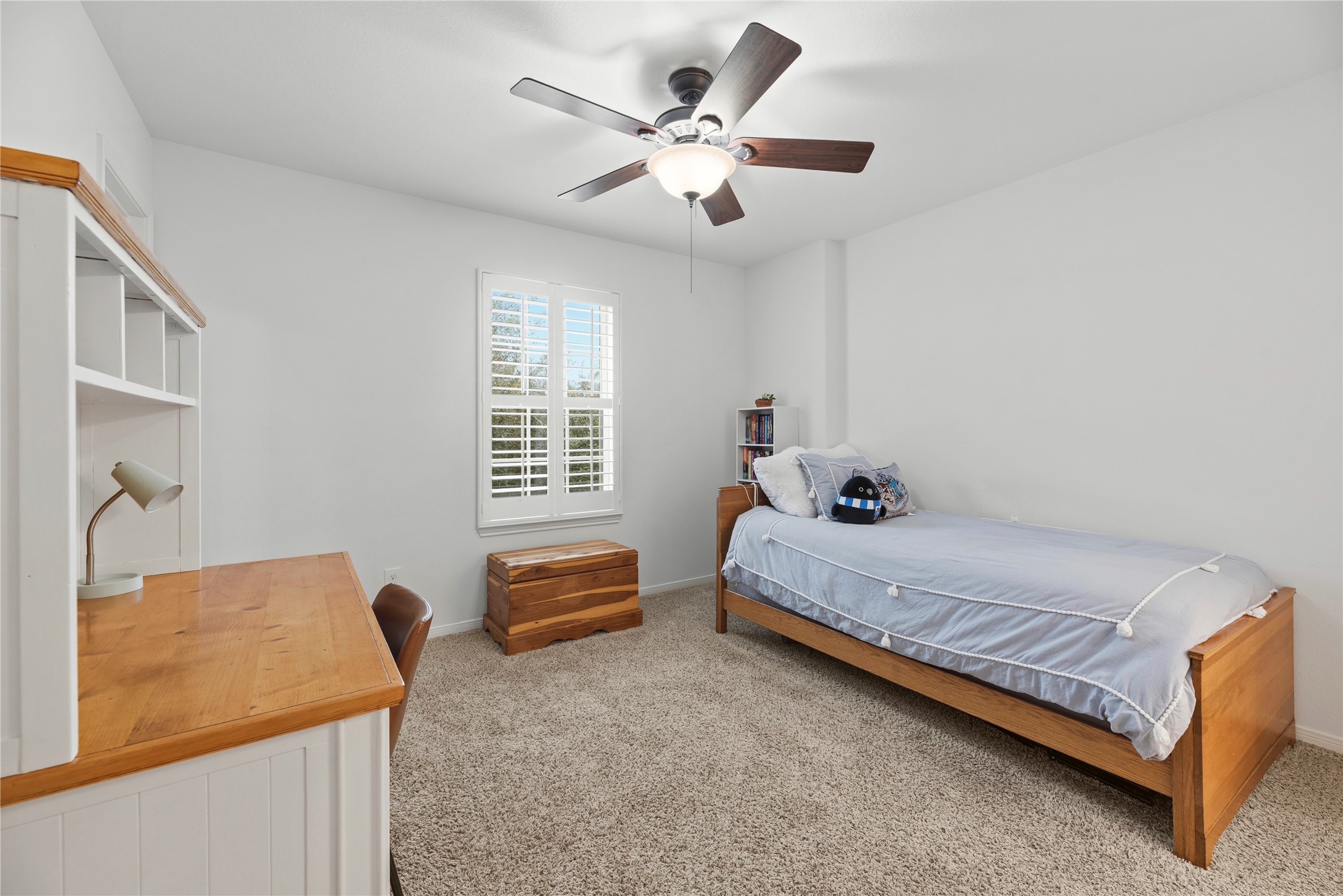 10206 Texas Sage Way Property Photo 24