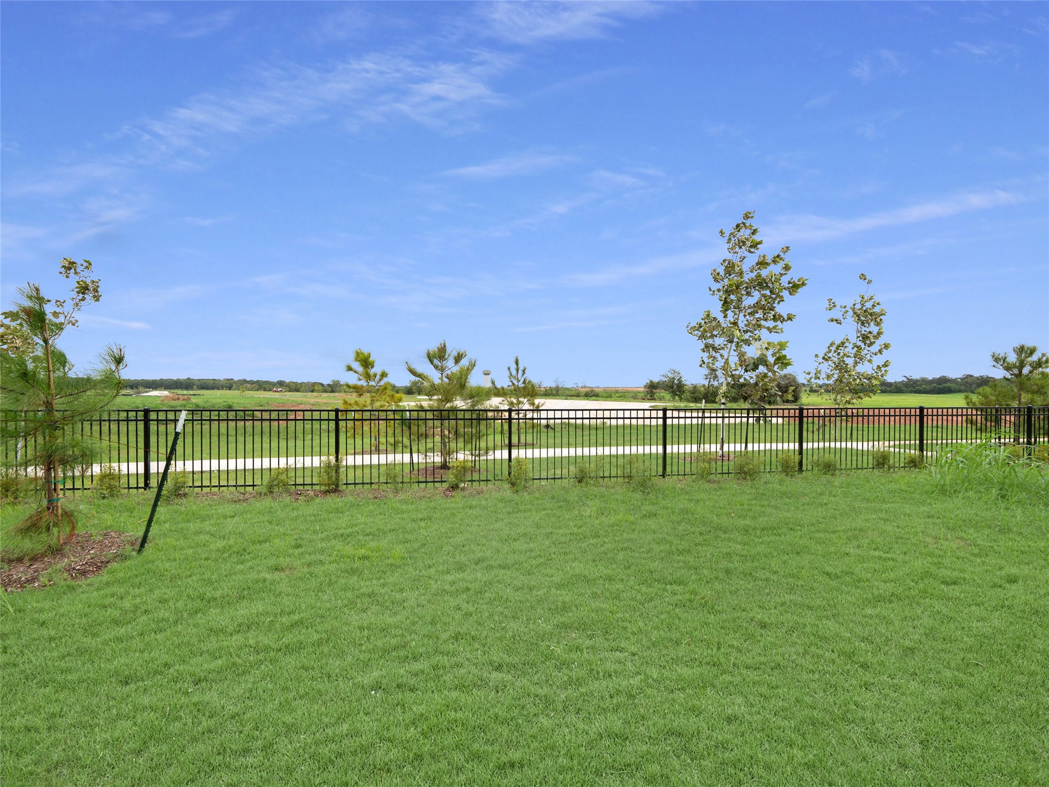 8231 Red Shinner Way Property Photo 6