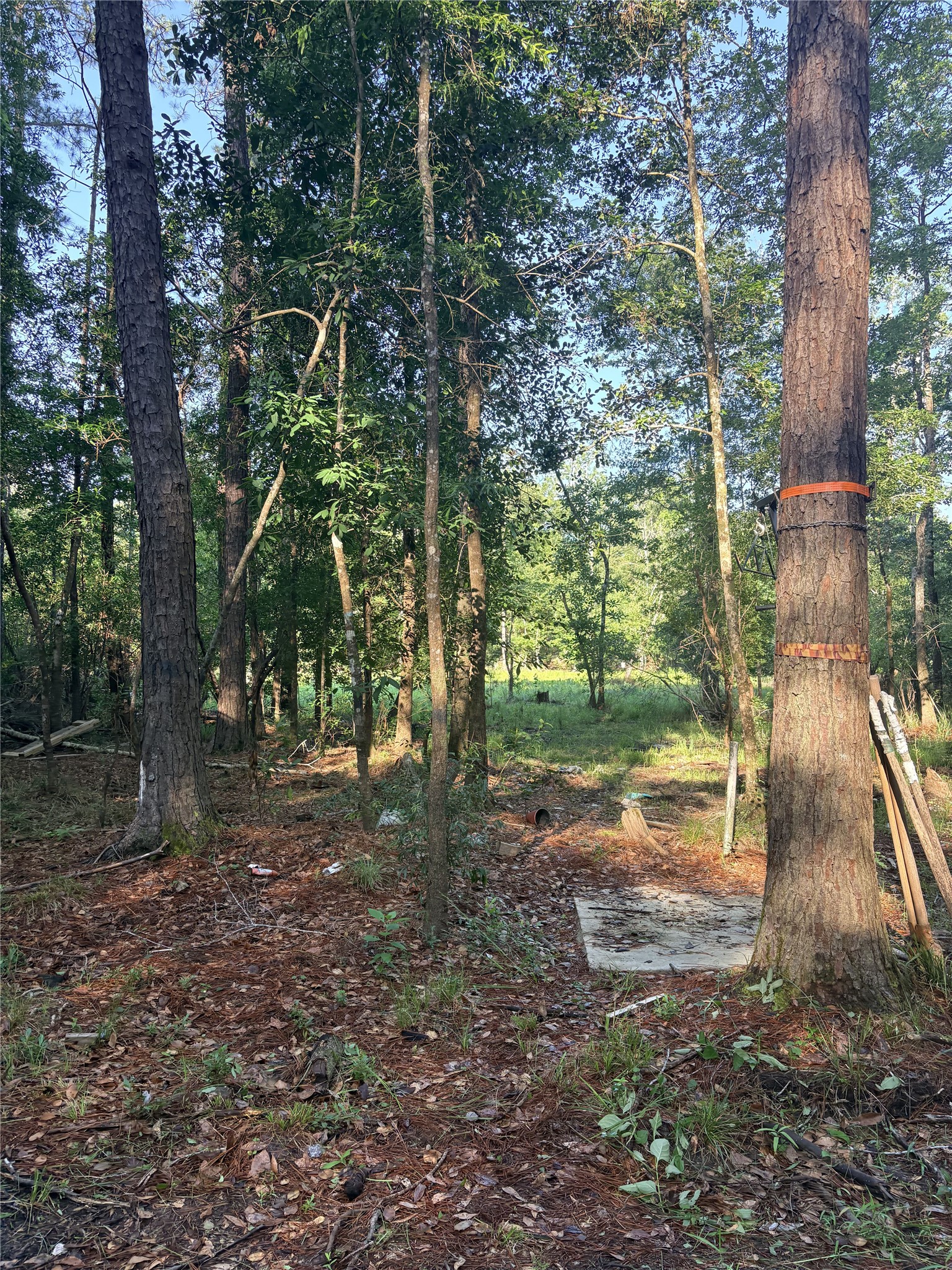 9470 Village Creek Road Property Photo 17