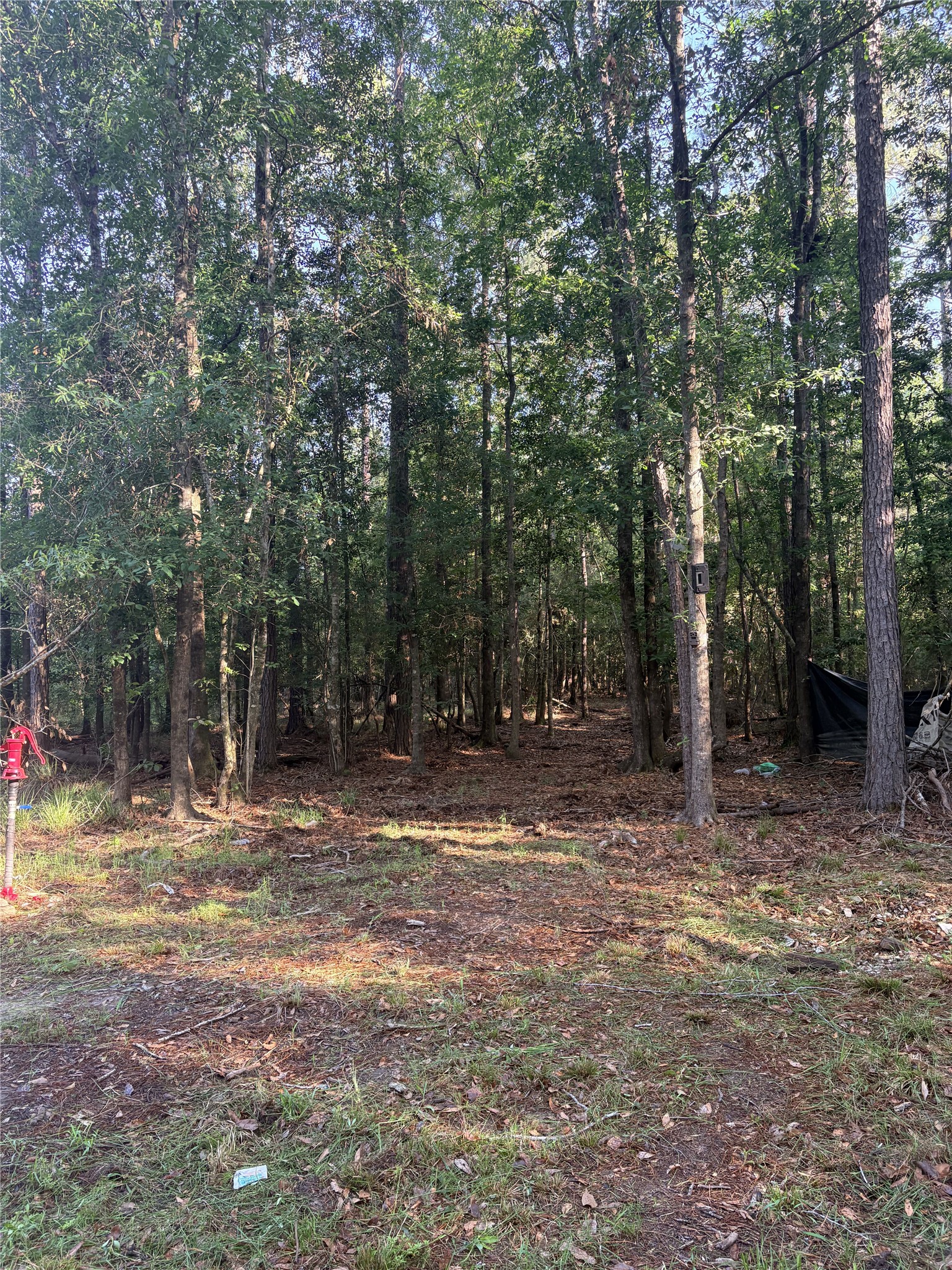 9470 Village Creek Road Property Photo 18