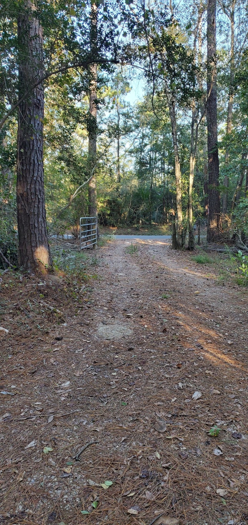 9470 Village Creek Road Property Photo 21
