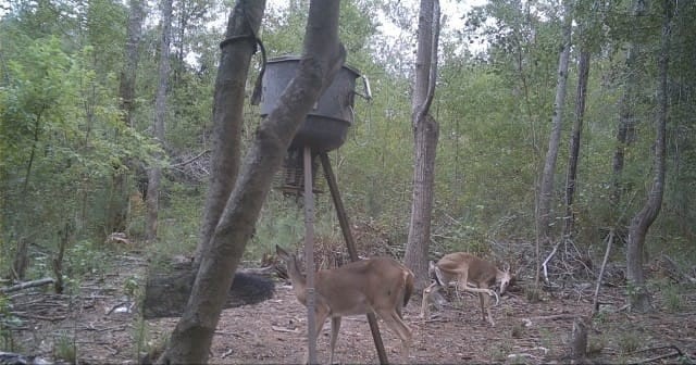 9470 Village Creek Road Property Photo 23