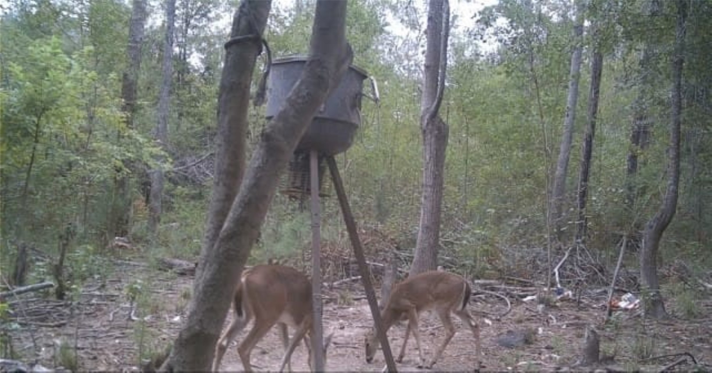 9470 Village Creek Road Property Photo 24