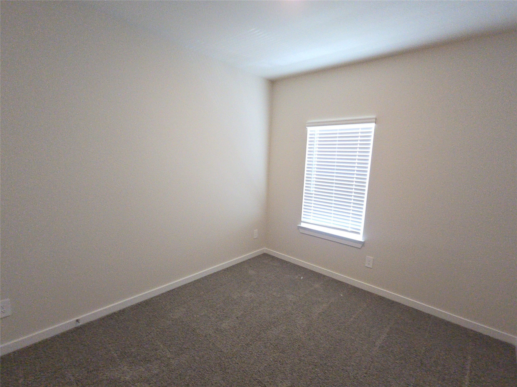 4112 Good Vineyard Lane Property Photo 14