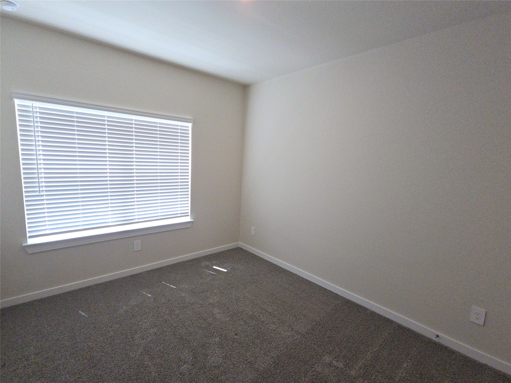 4112 Good Vineyard Lane Property Photo 16