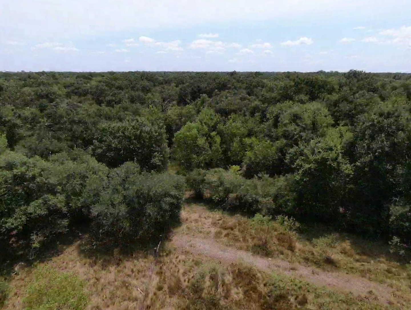 00 Brazos River Road Property Photo 2