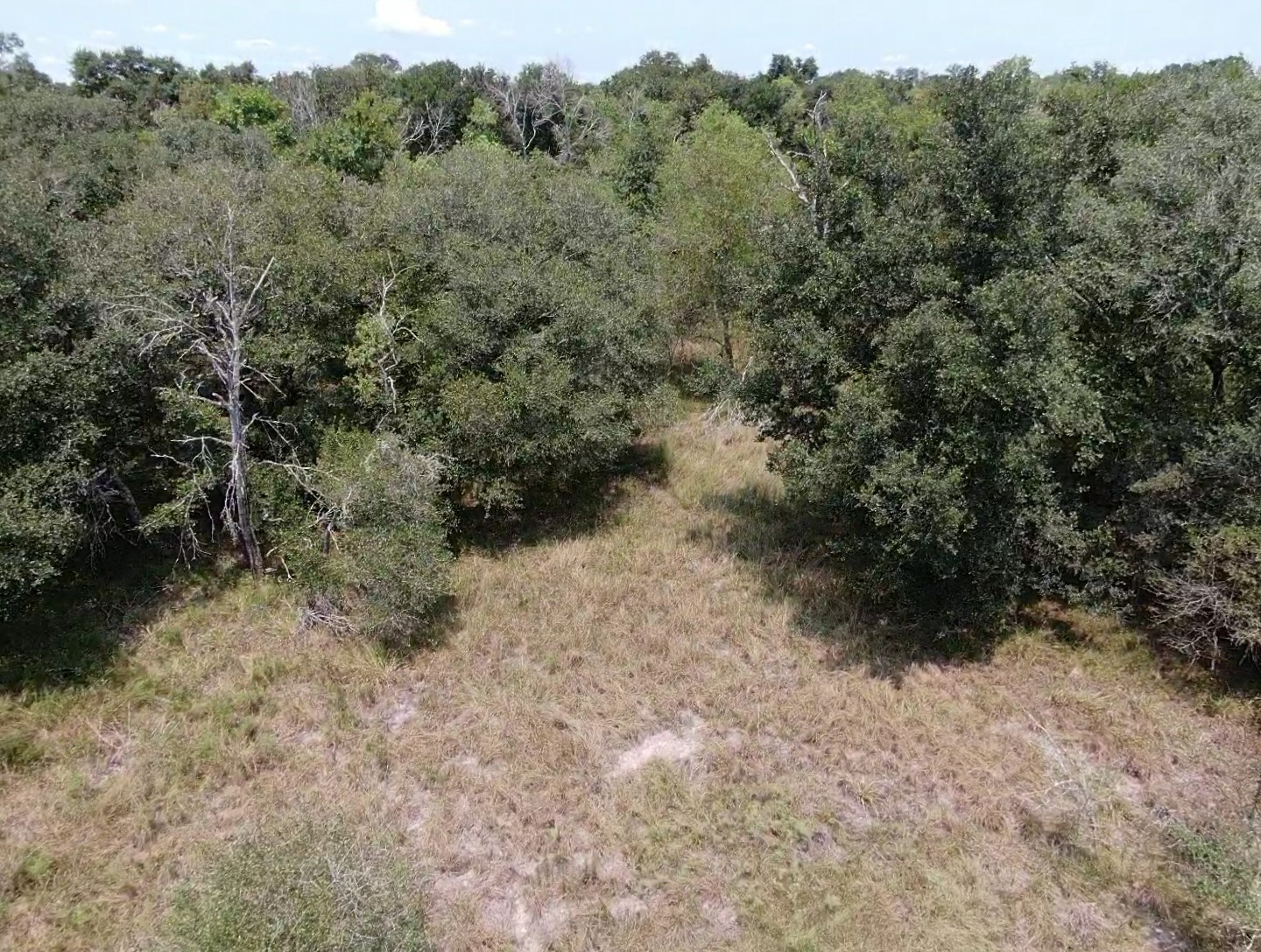 00 Brazos River Road Property Photo 5