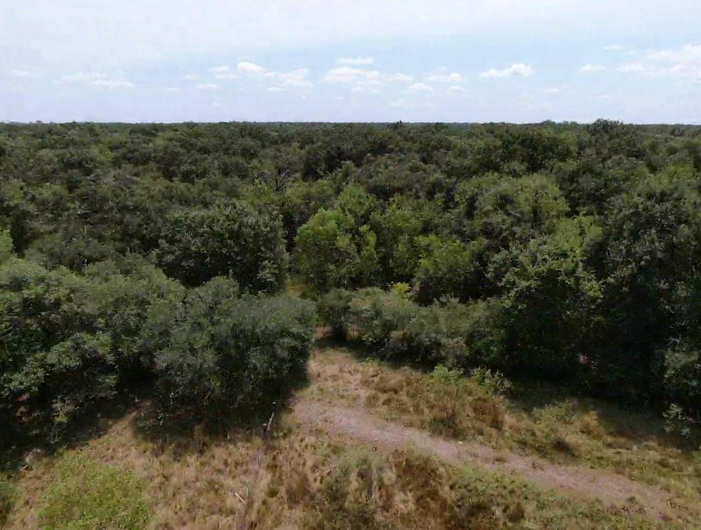 7800 A Brazos River Road, Damon Tx 77430 Property Photo 4