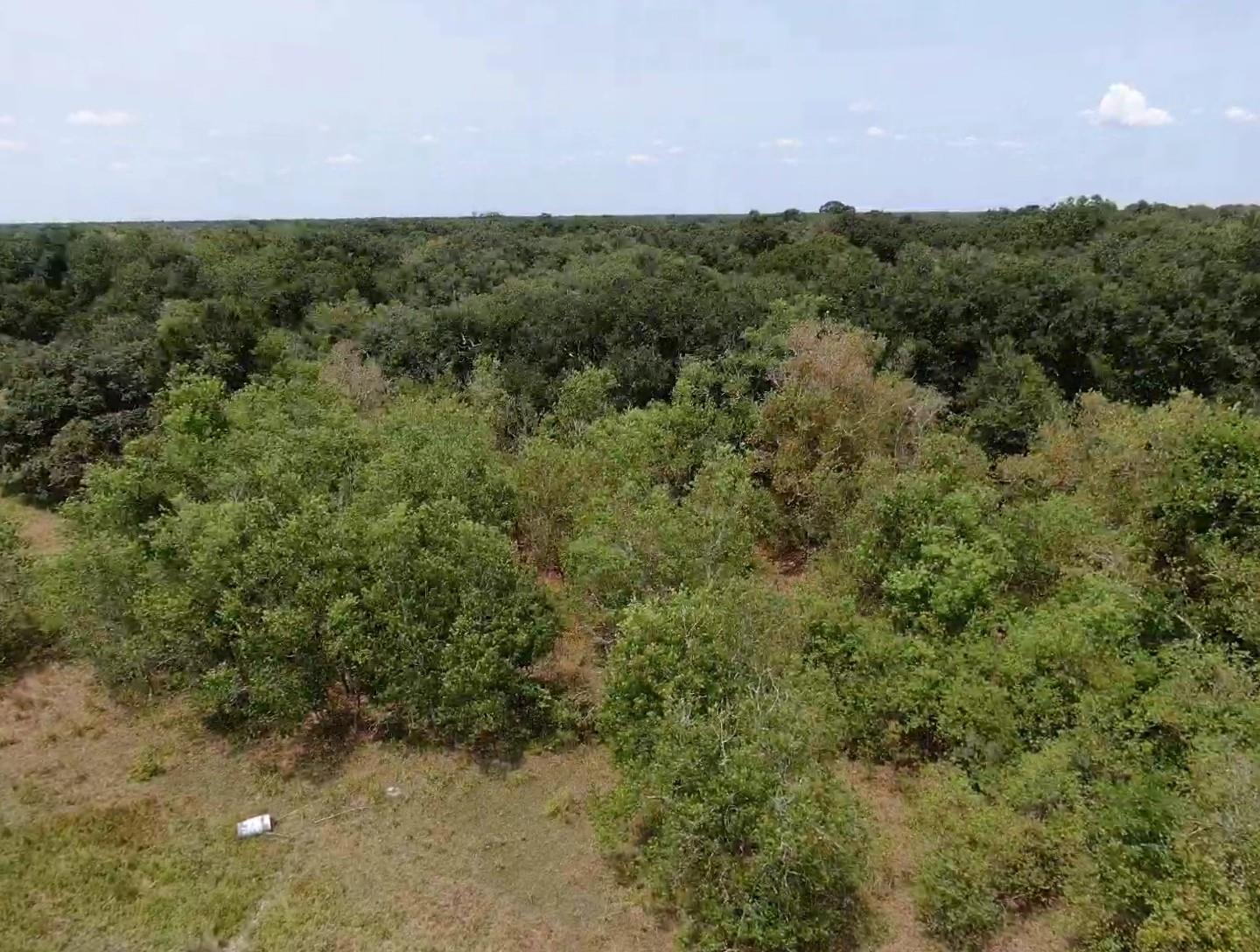 7800 A Brazos River Road, Damon Tx 77430 Property Photo 8