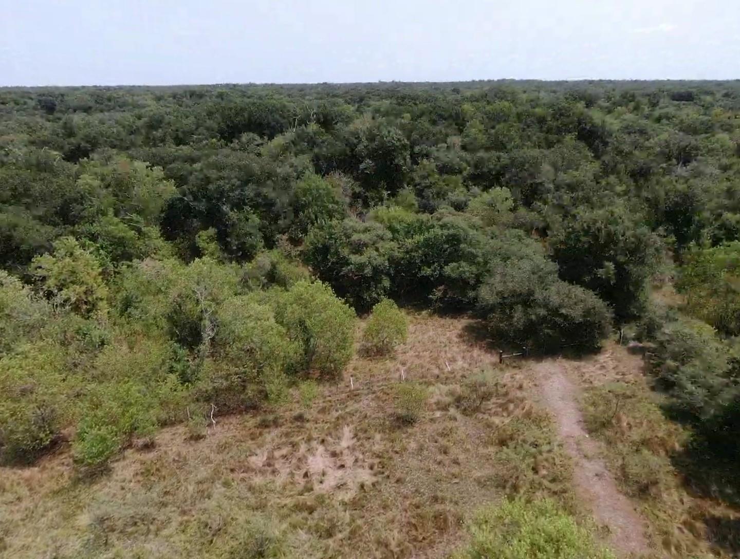 7800 A Brazos River Road, Damon Tx 77430 Property Photo 10
