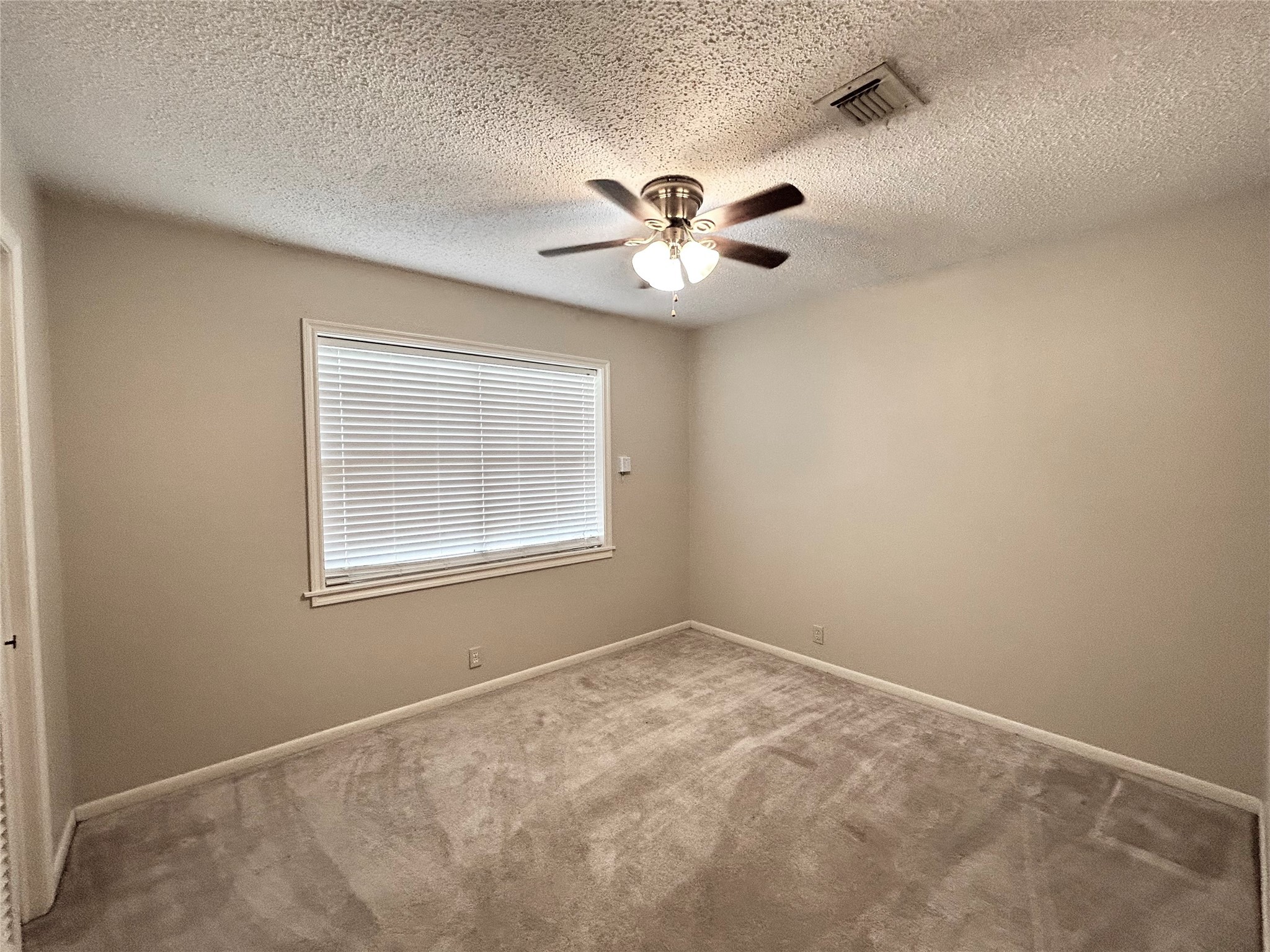 4 Renwick Street Property Photo 29