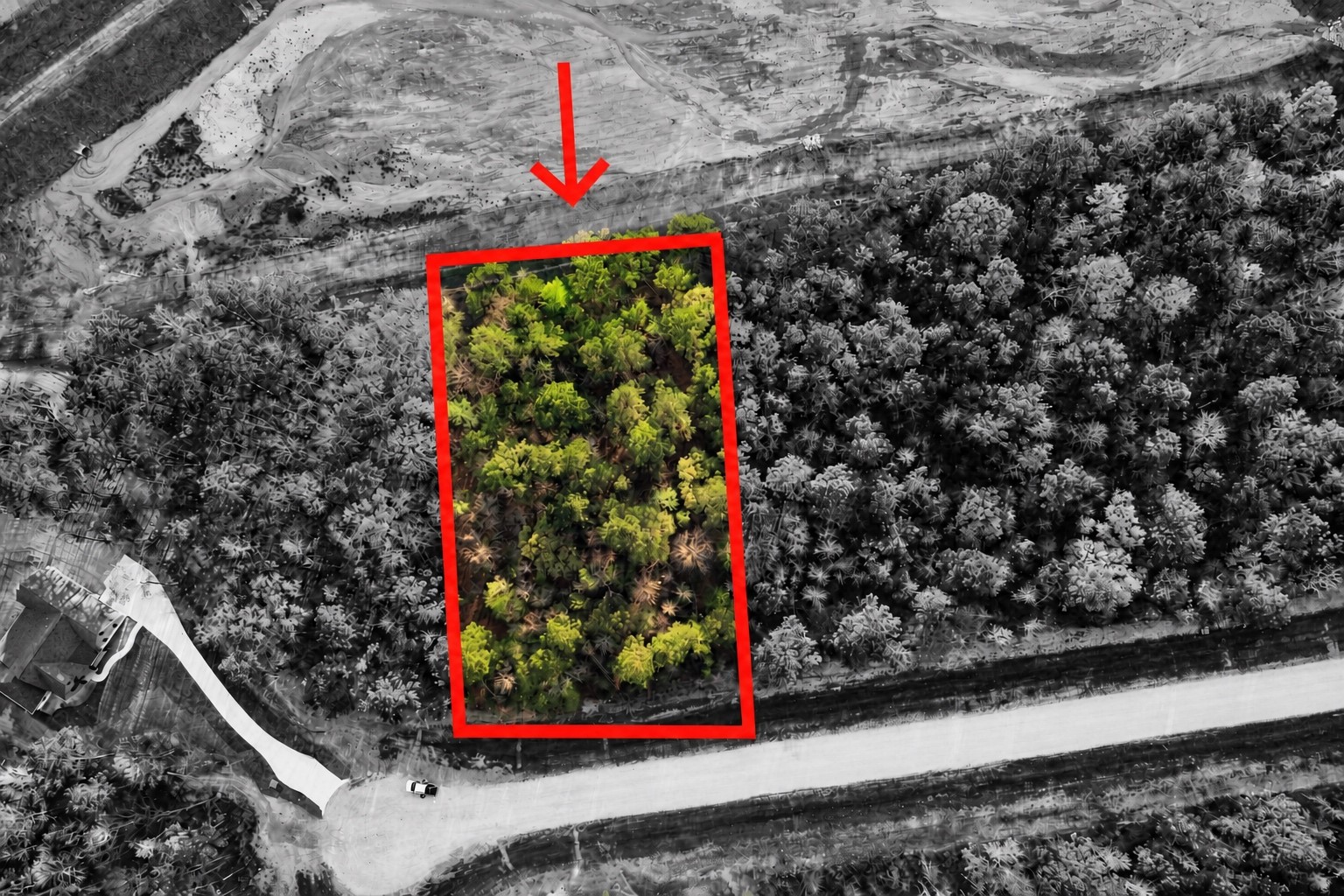 186 Bunkhouse Road Property Photo 1