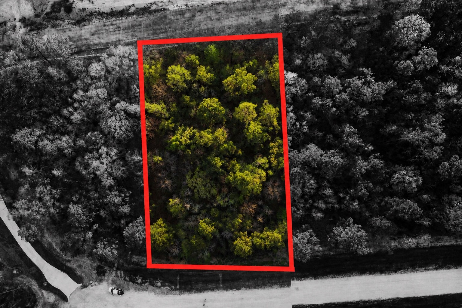 186 Bunkhouse Road Property Photo 2