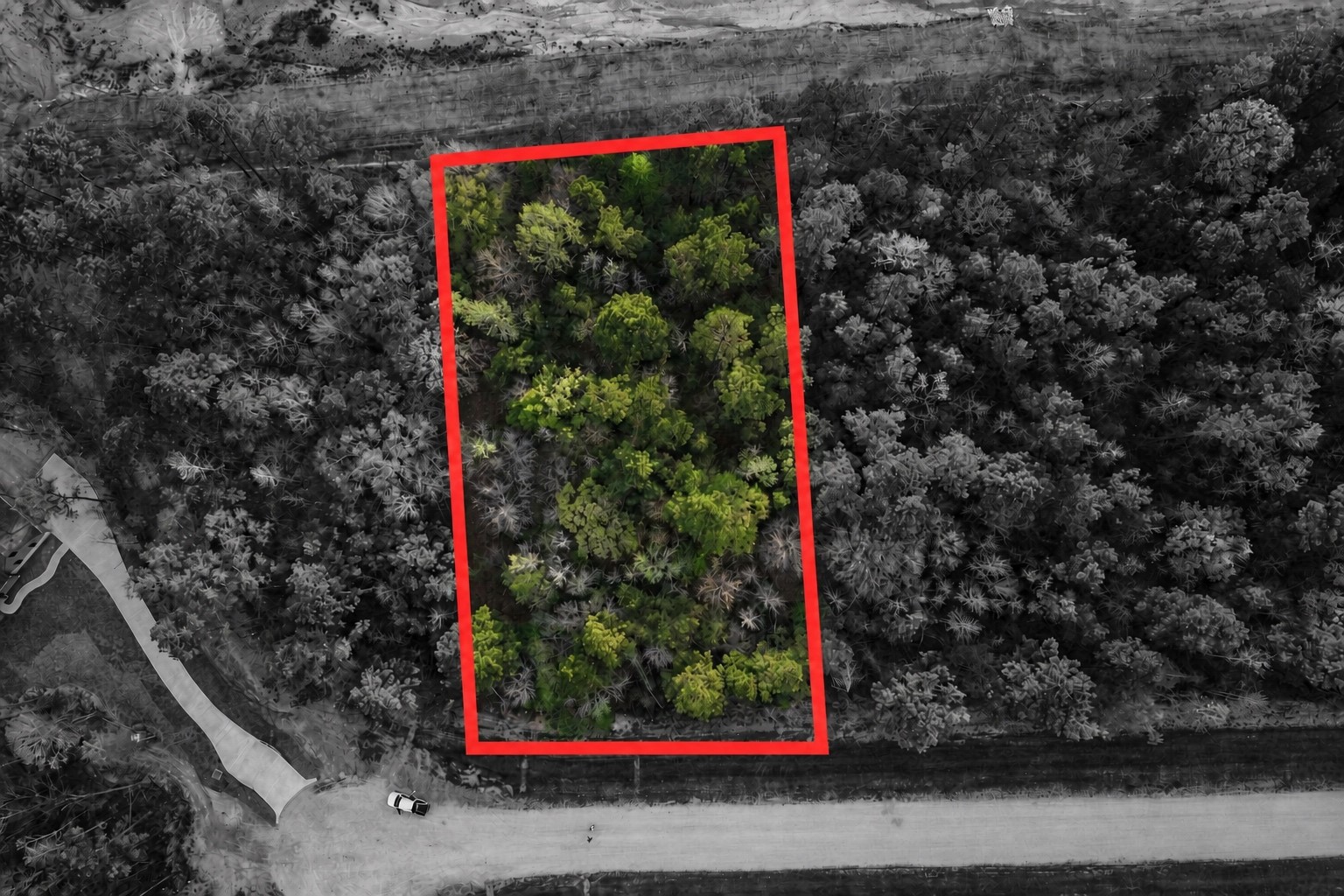 186 Bunkhouse Road Property Photo 5