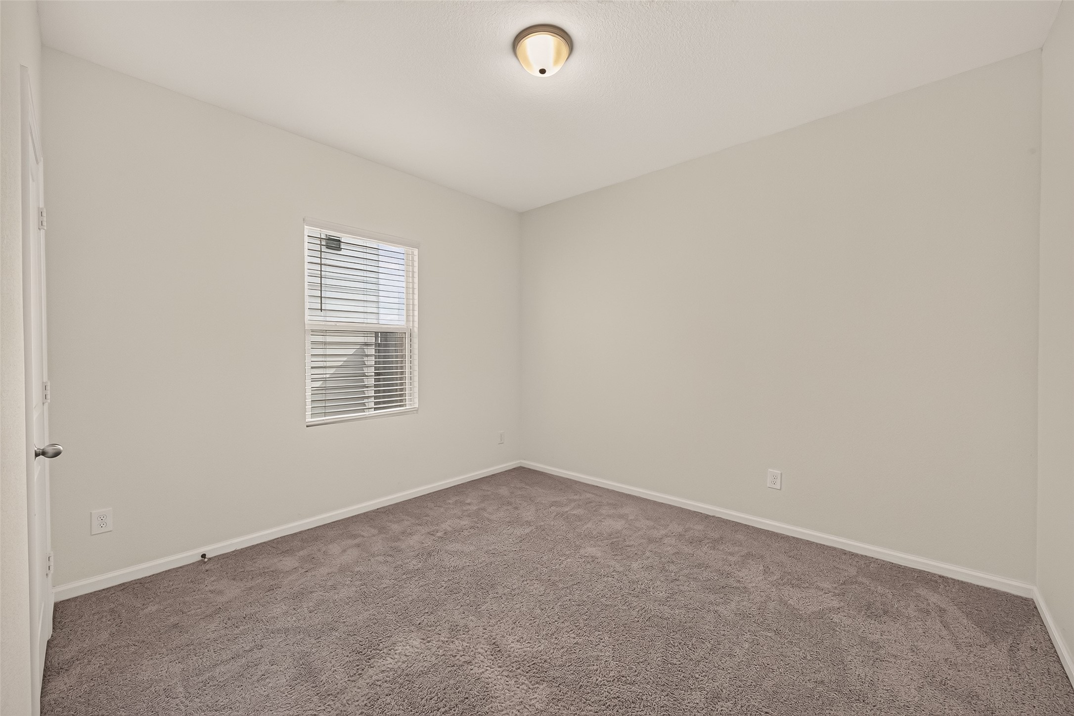 1037 Lacebark Pine Lane Property Photo 18