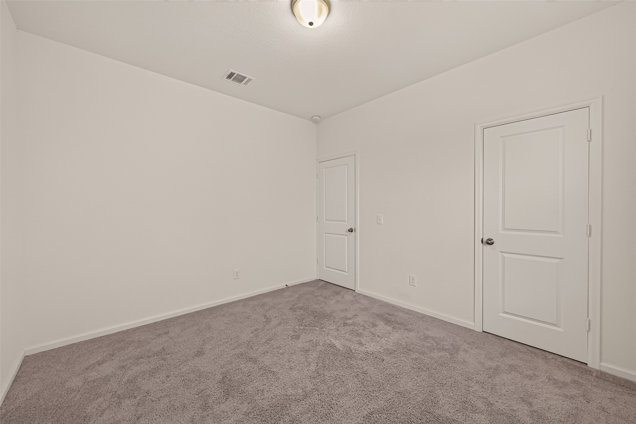 1037 Lacebark Pine Lane Property Photo 19