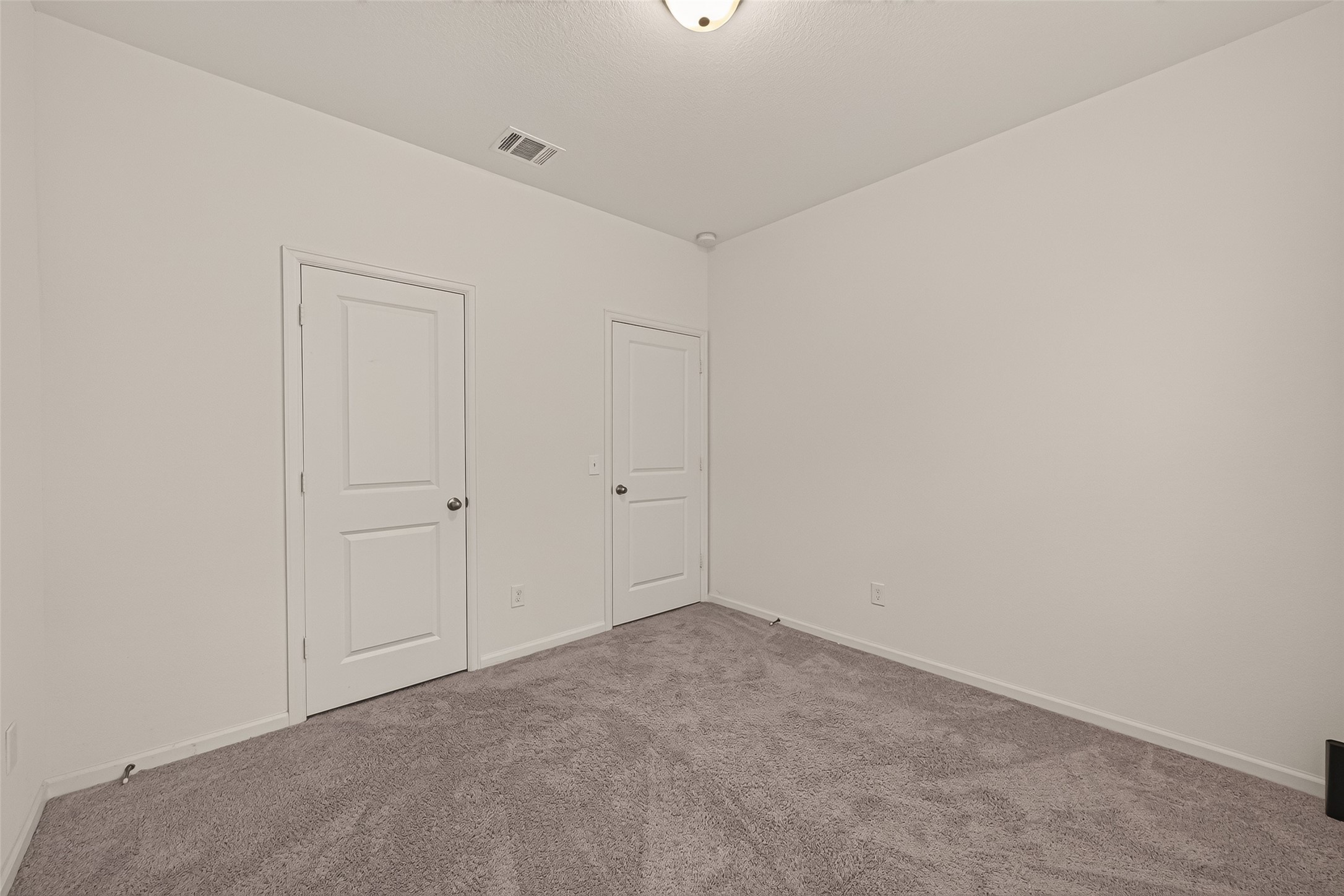 1037 Lacebark Pine Lane Property Photo 21