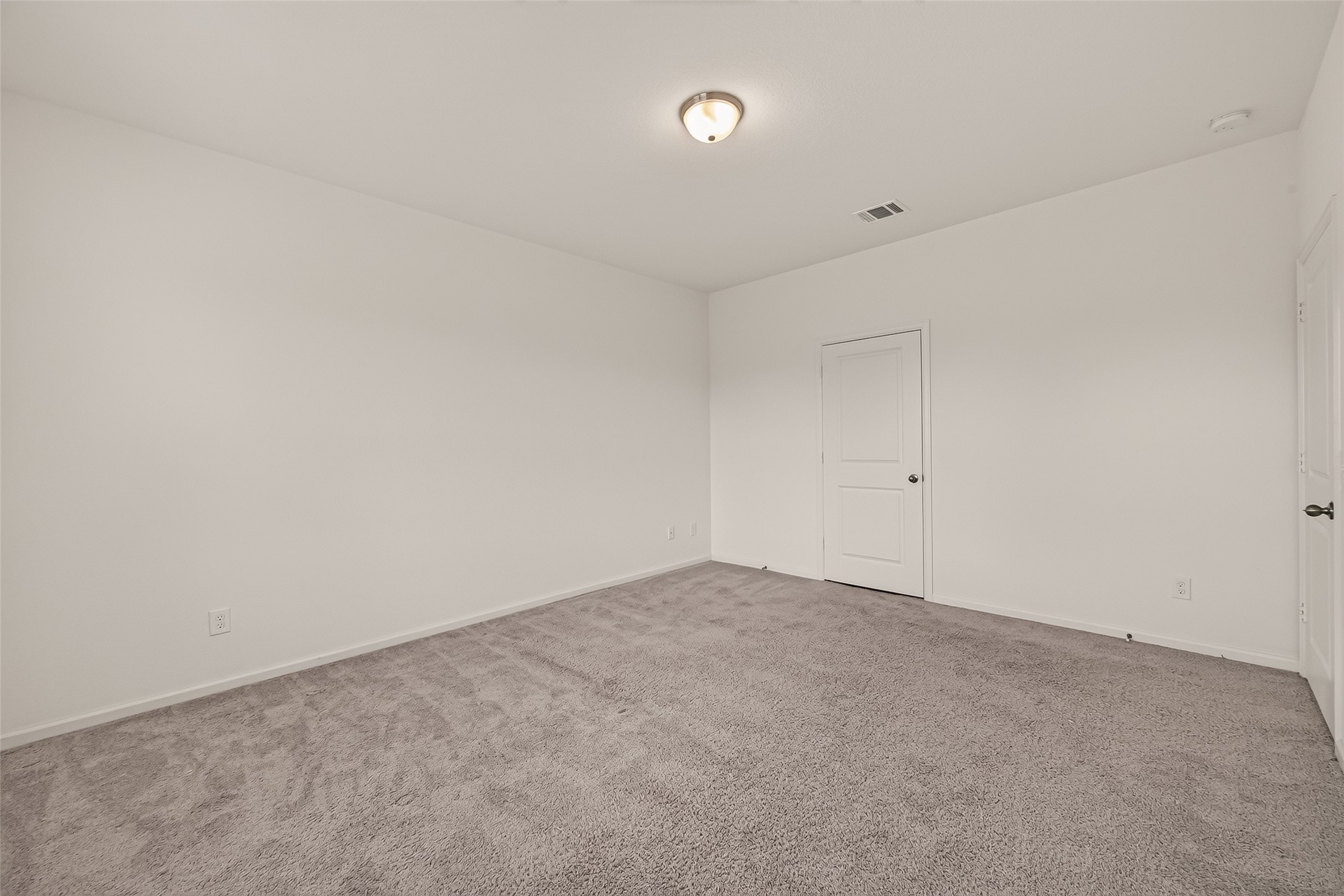 1037 Lacebark Pine Lane Property Photo 24