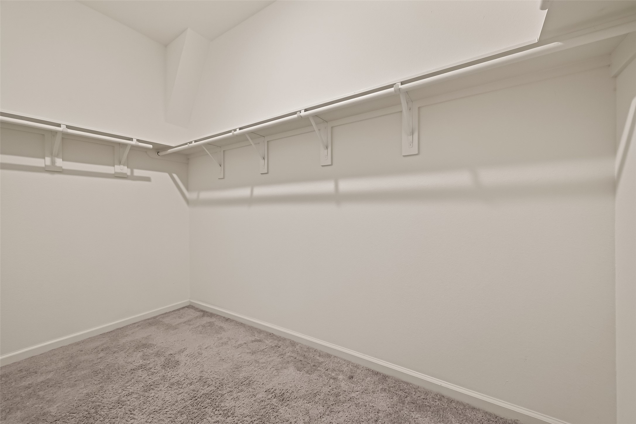 1037 Lacebark Pine Lane Property Photo 30