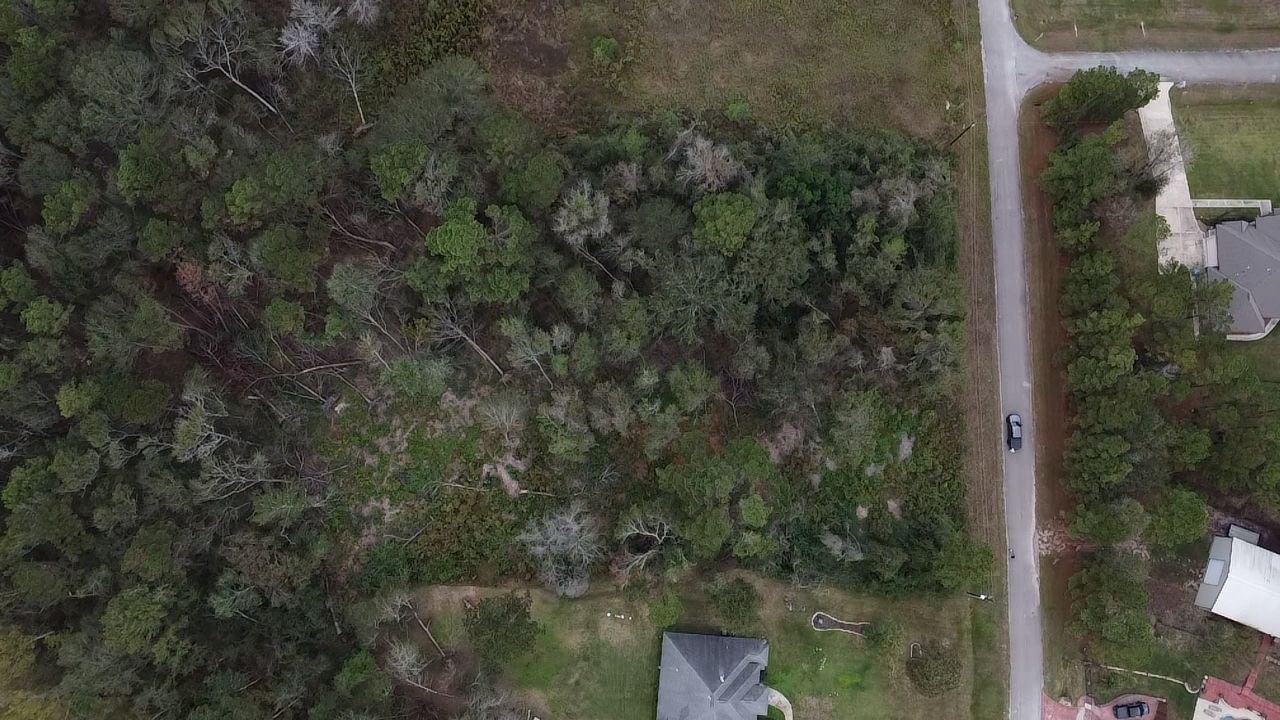 19143 Serpenteer Drive Property Photo 6