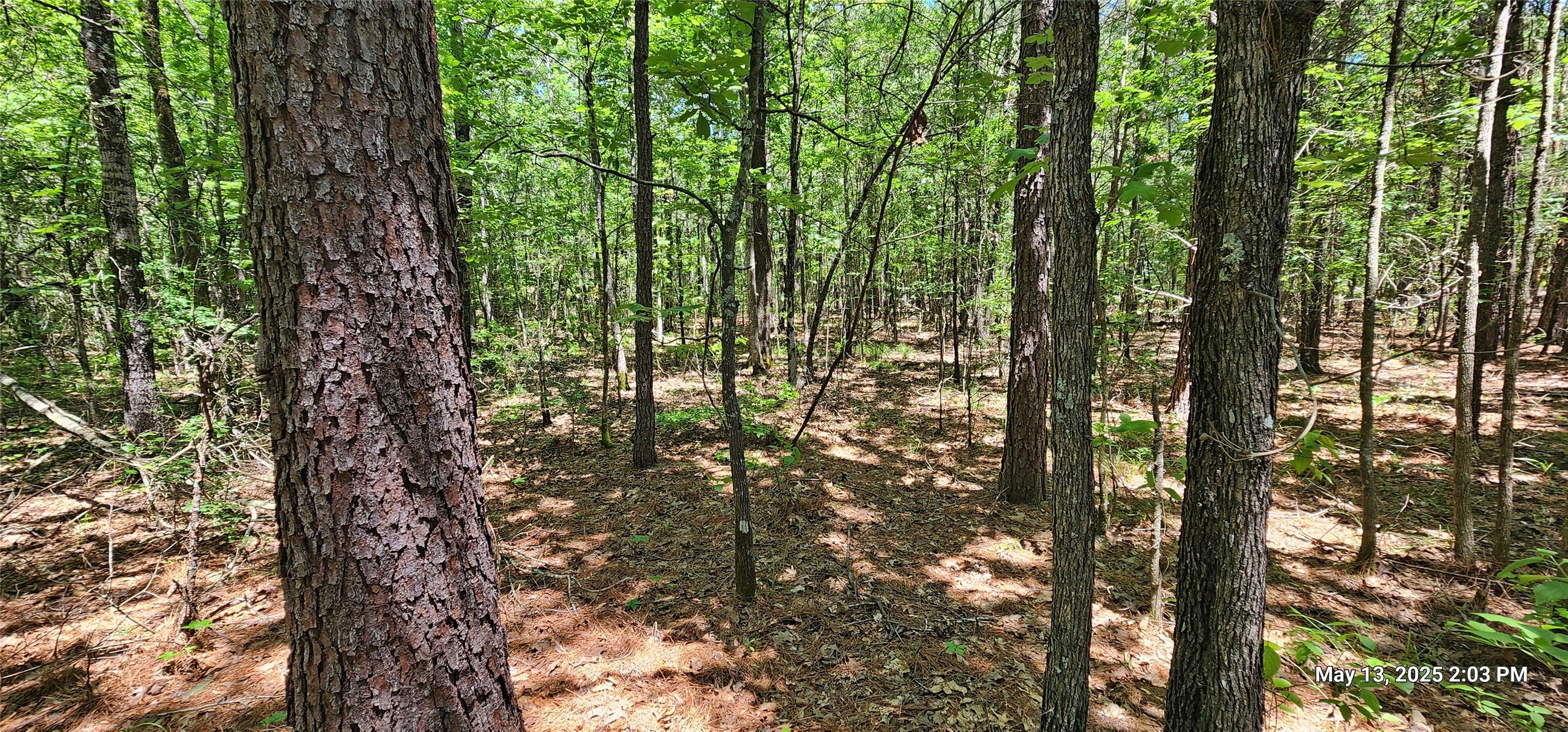 Tbd Cr 3233 E Property Photo 1