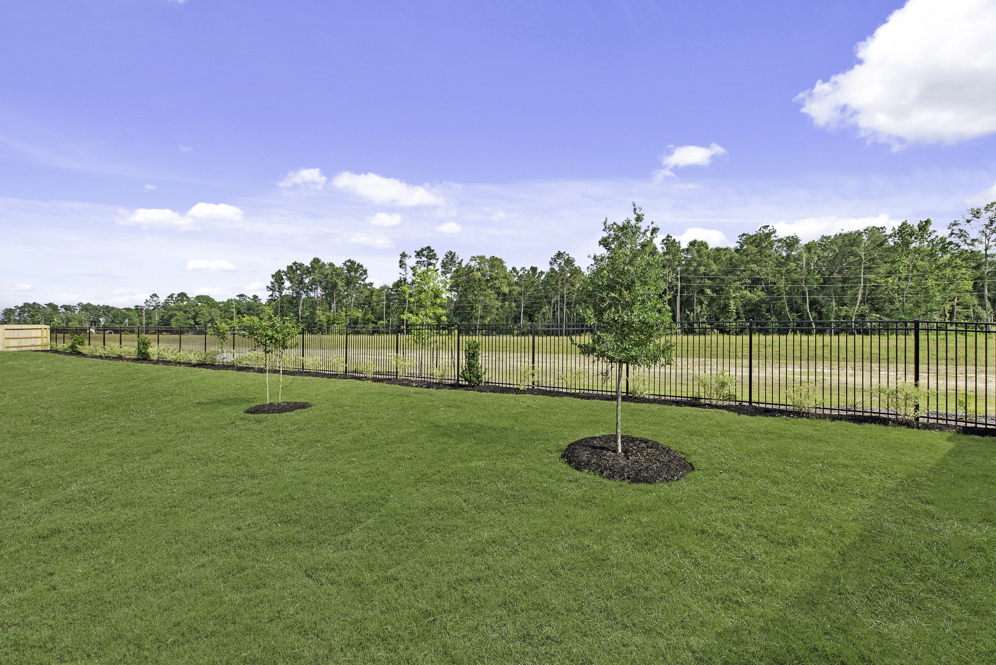 15703 Saffron Summer Street Property Photo 24