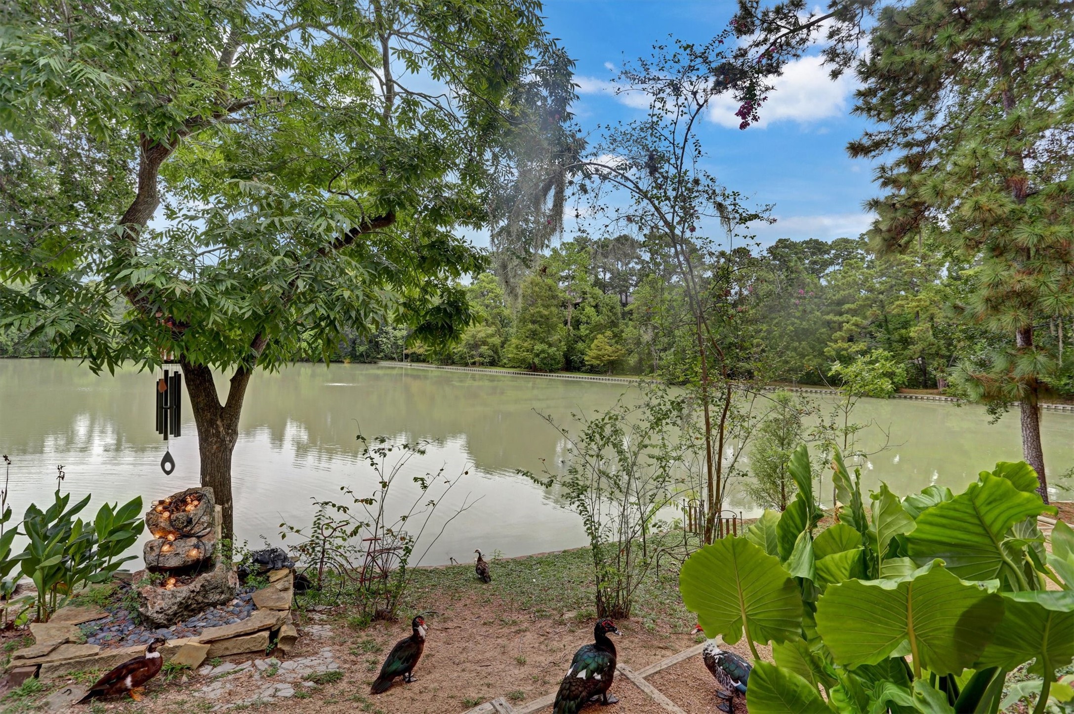 12654 Briar Patch Road 26 Property Photo 35