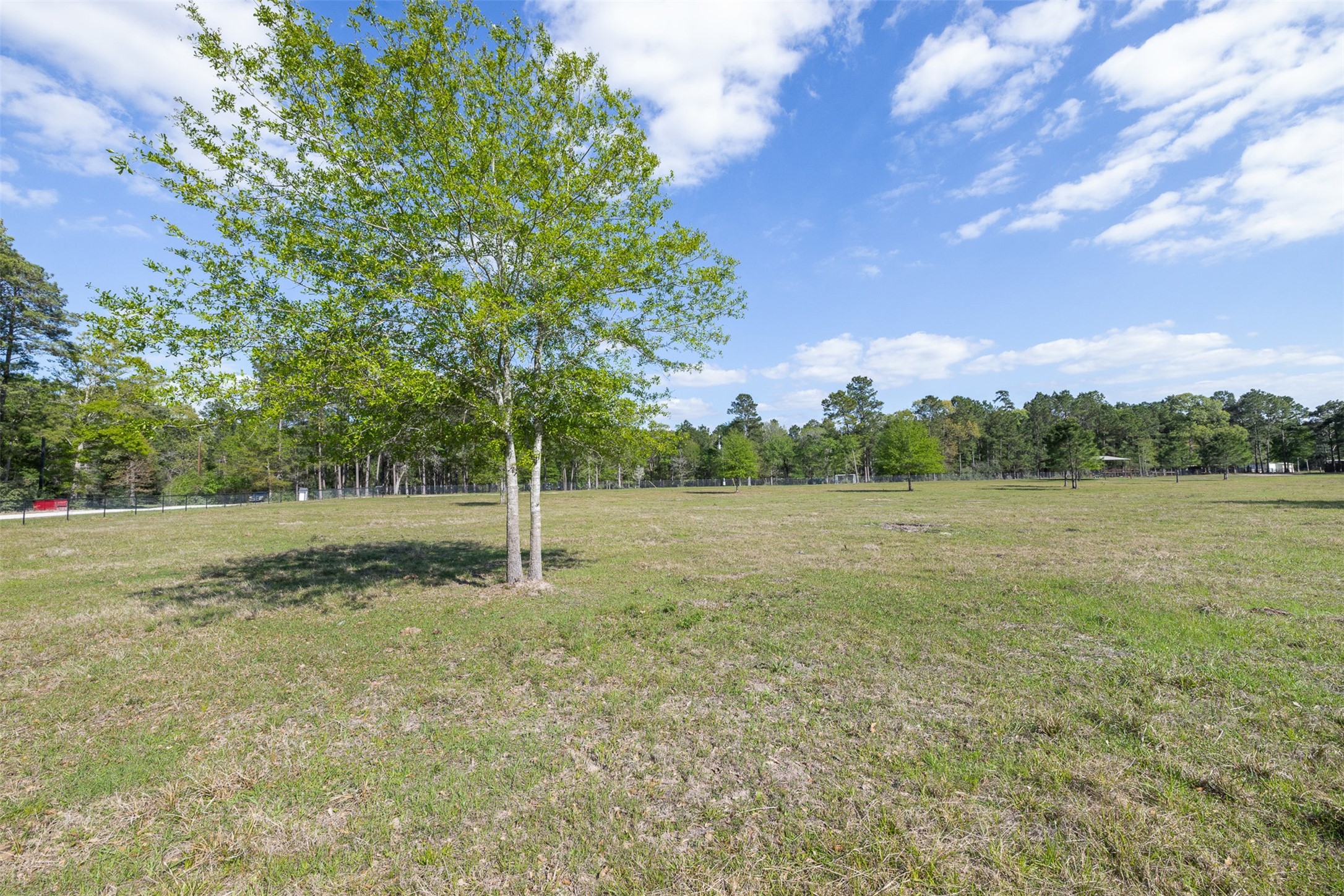 5890 Magan Road Property Photo 7