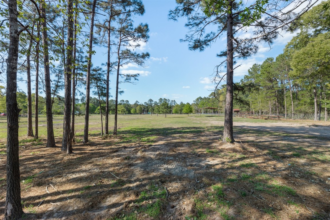 5890 Magan Road Property Photo 10