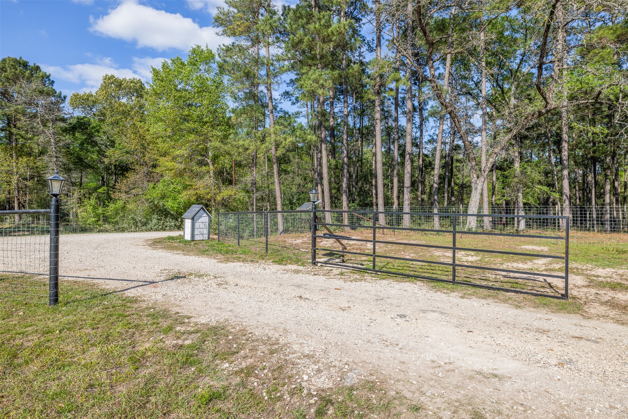5890 Magan Road Property Photo 18
