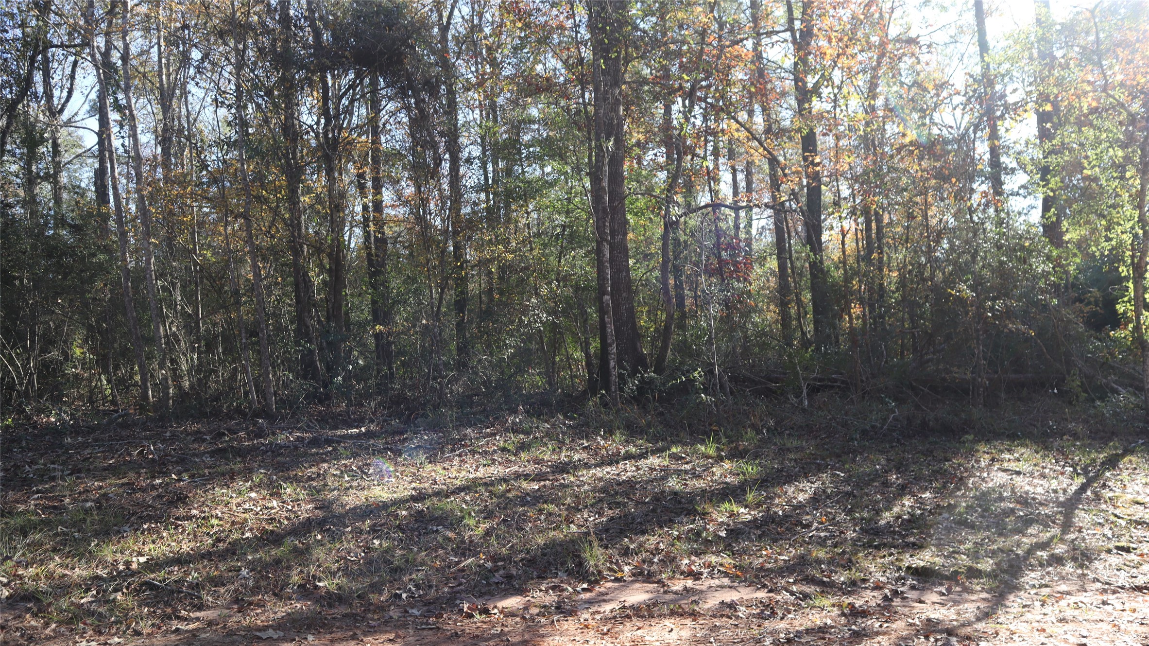 0 Pin Tail Property Photo 4