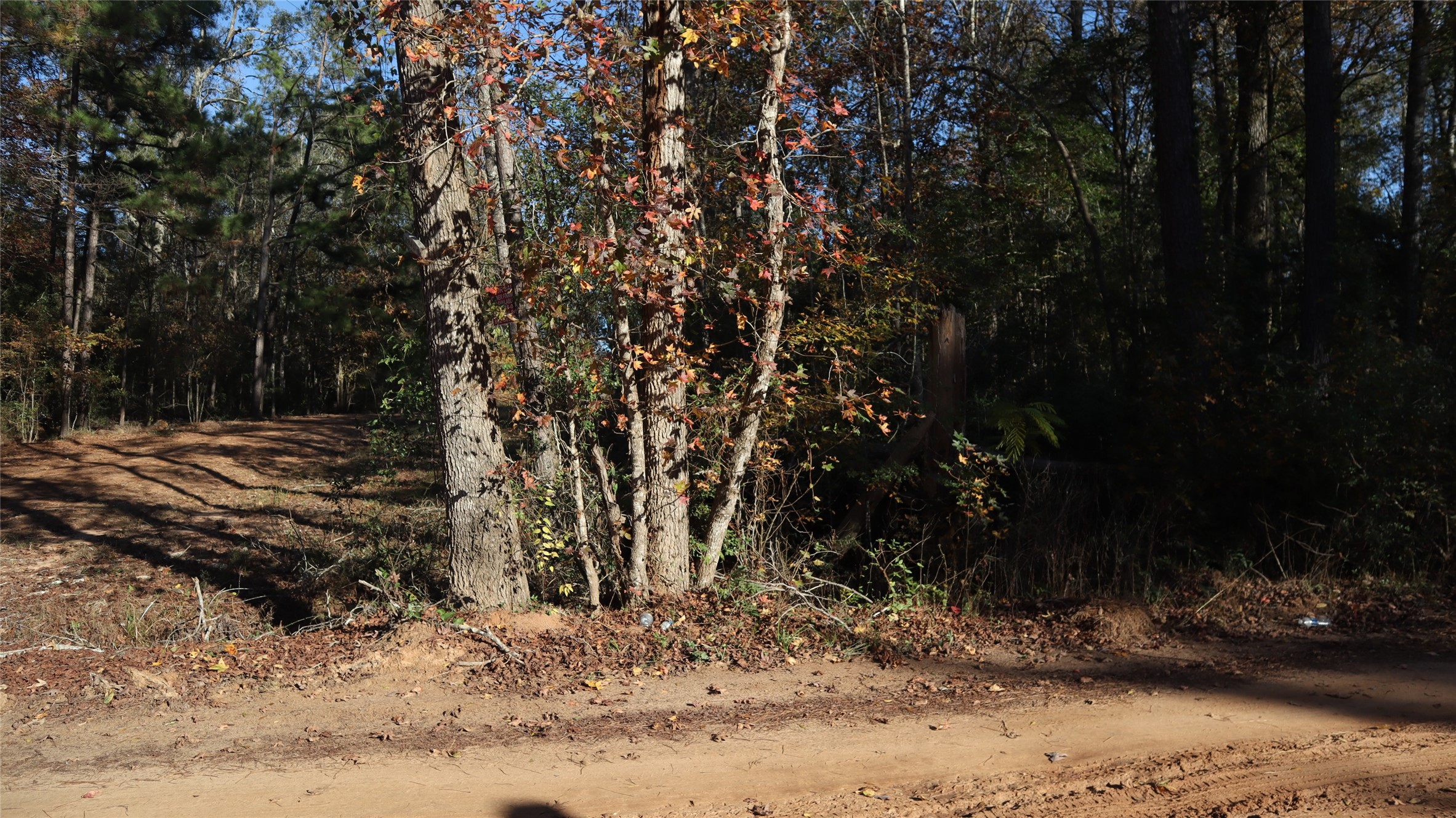 0 Pin Tail Property Photo 5