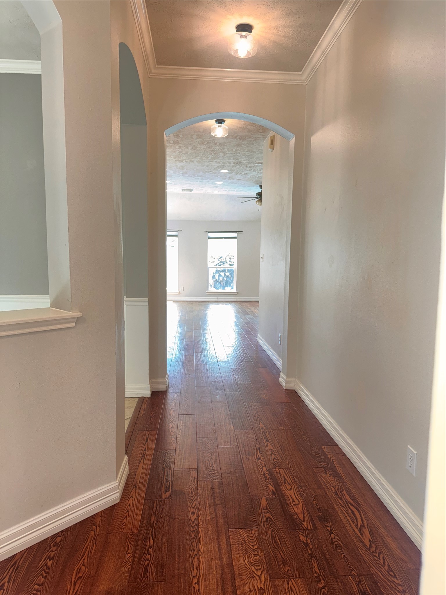 3114 Ravens Lake Circle Property Photo 3