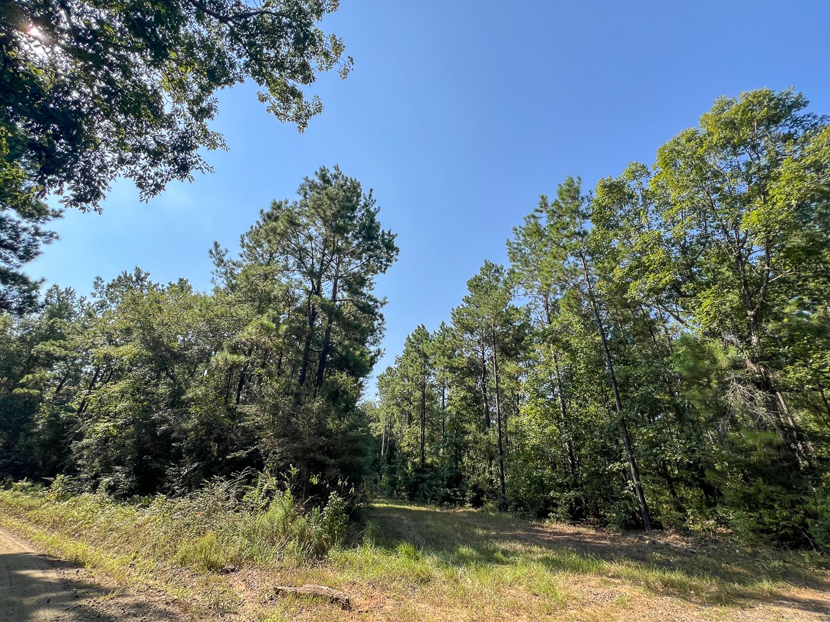T-4 Cr 2150 Property Photo 6