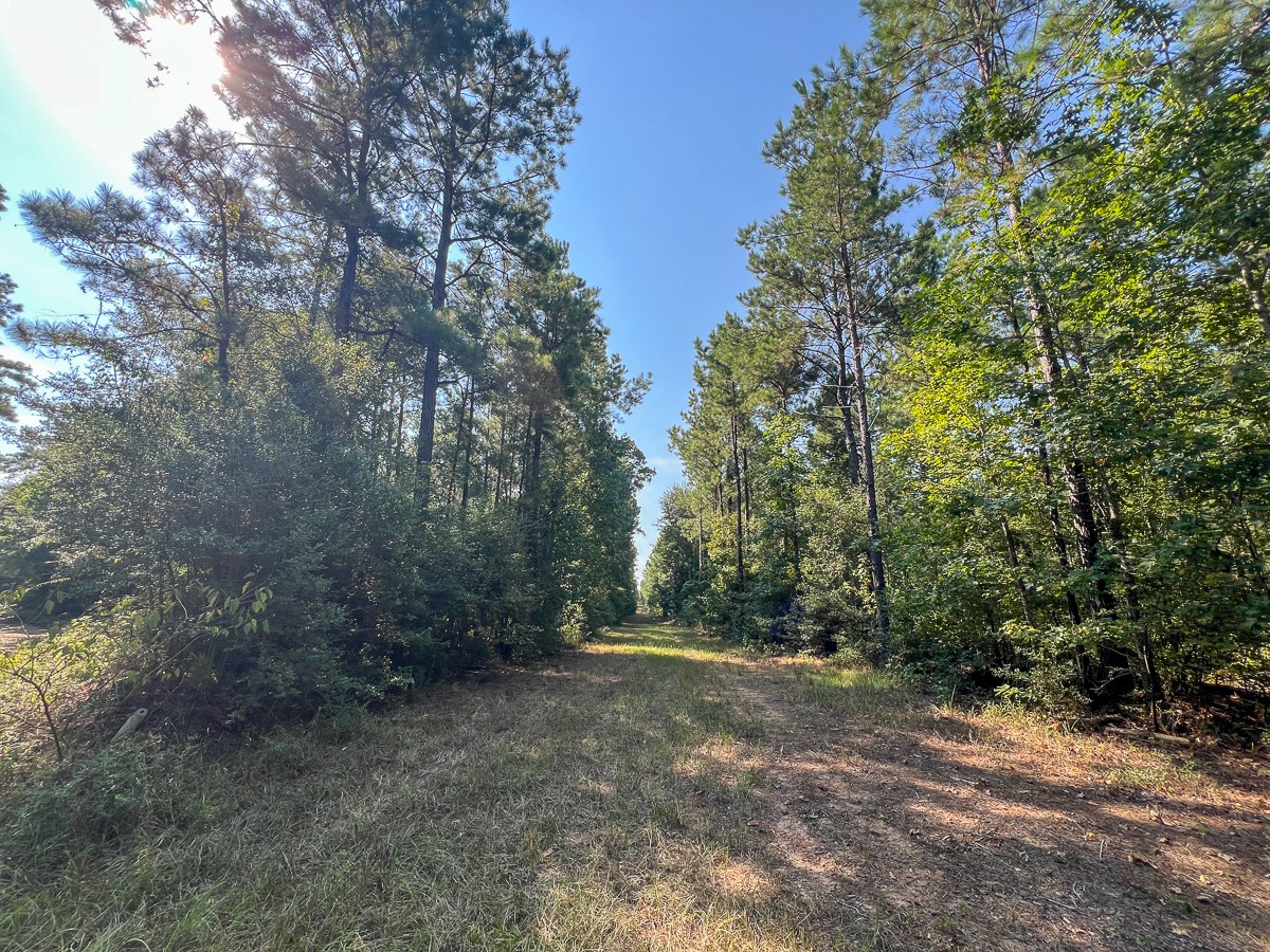 T-4 Cr 2150 Property Photo 8