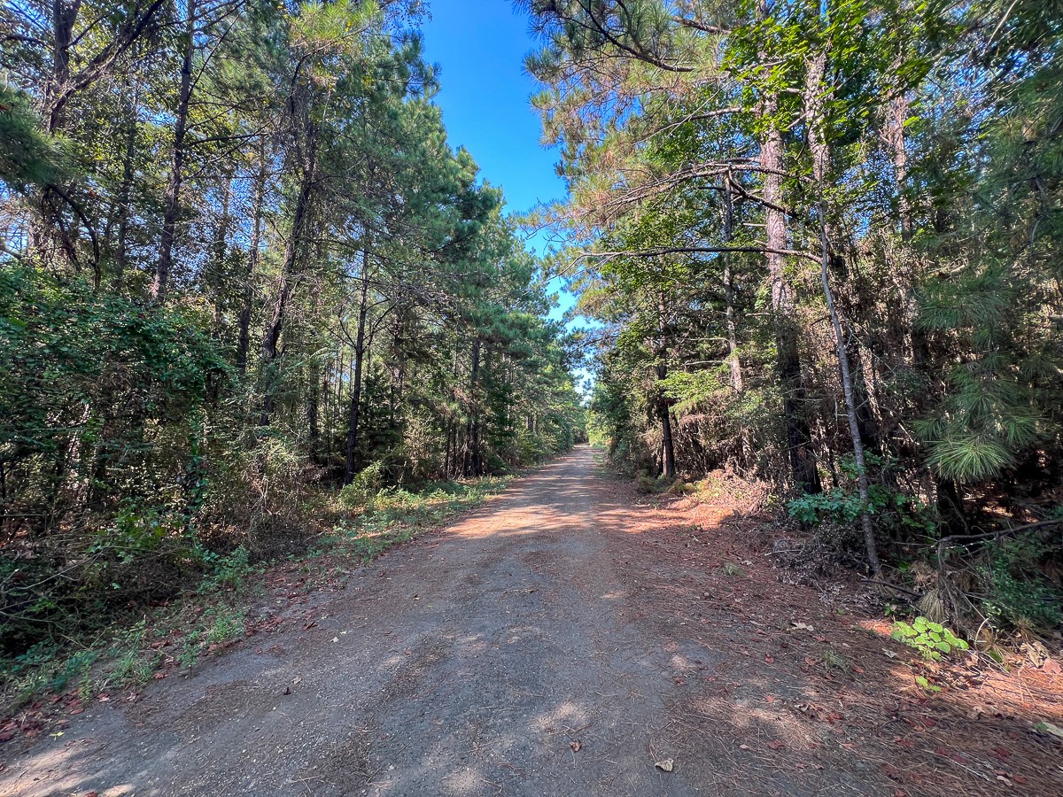T-4 Cr 2150 Property Photo 12